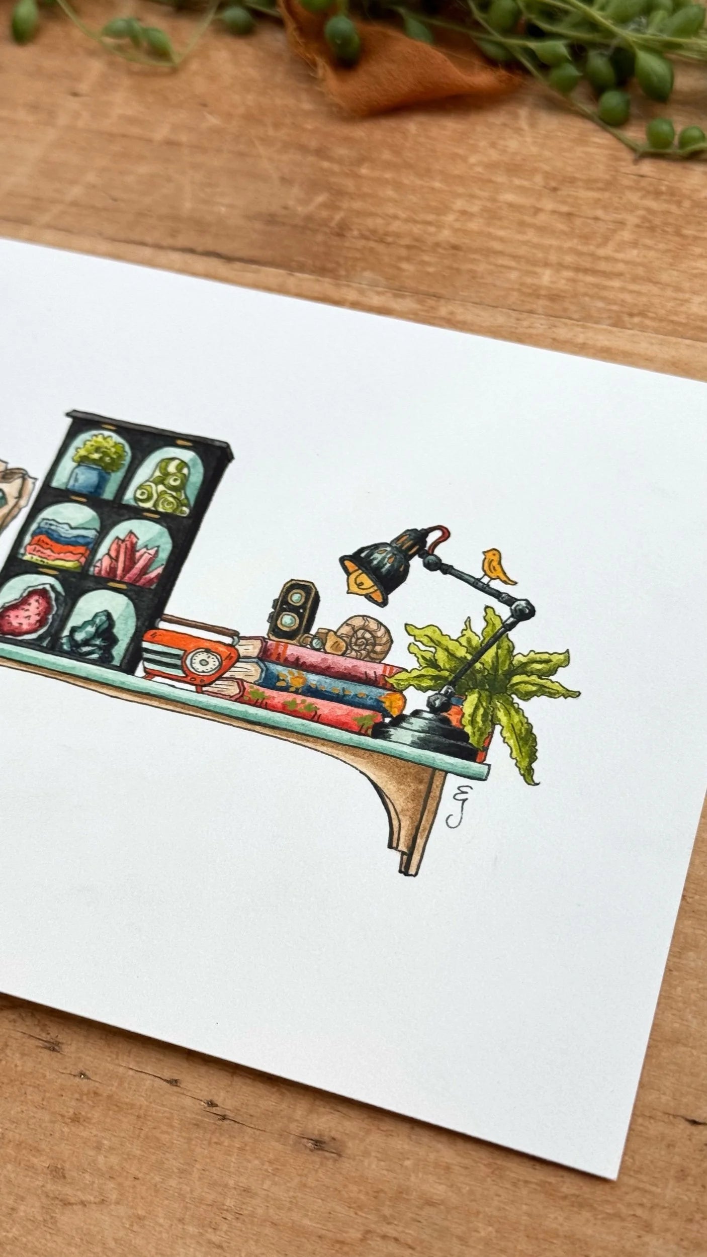 Original Mini Geologist's Shelf Illustration