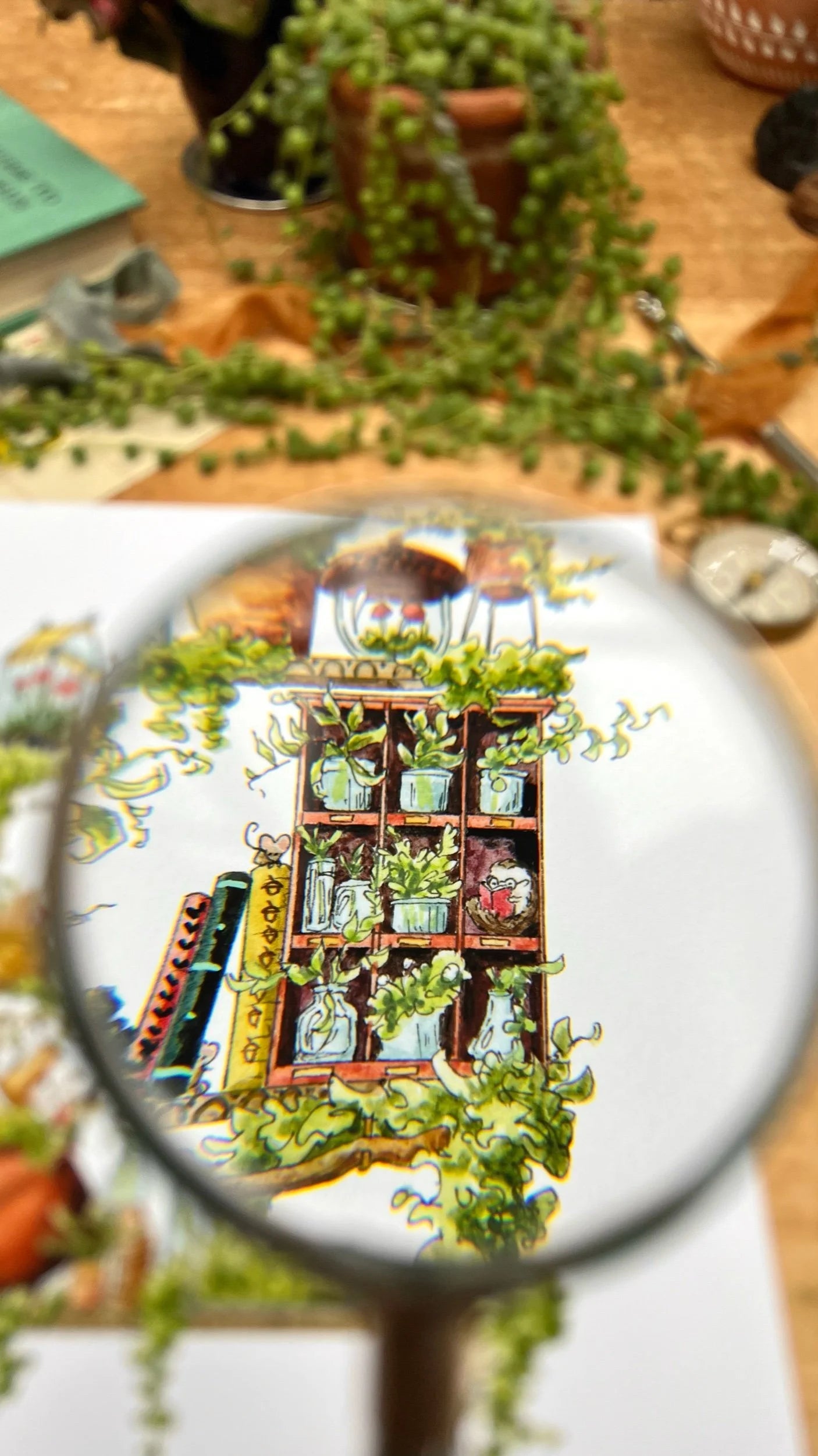 The Garden Witch's Shelves Giclée Print