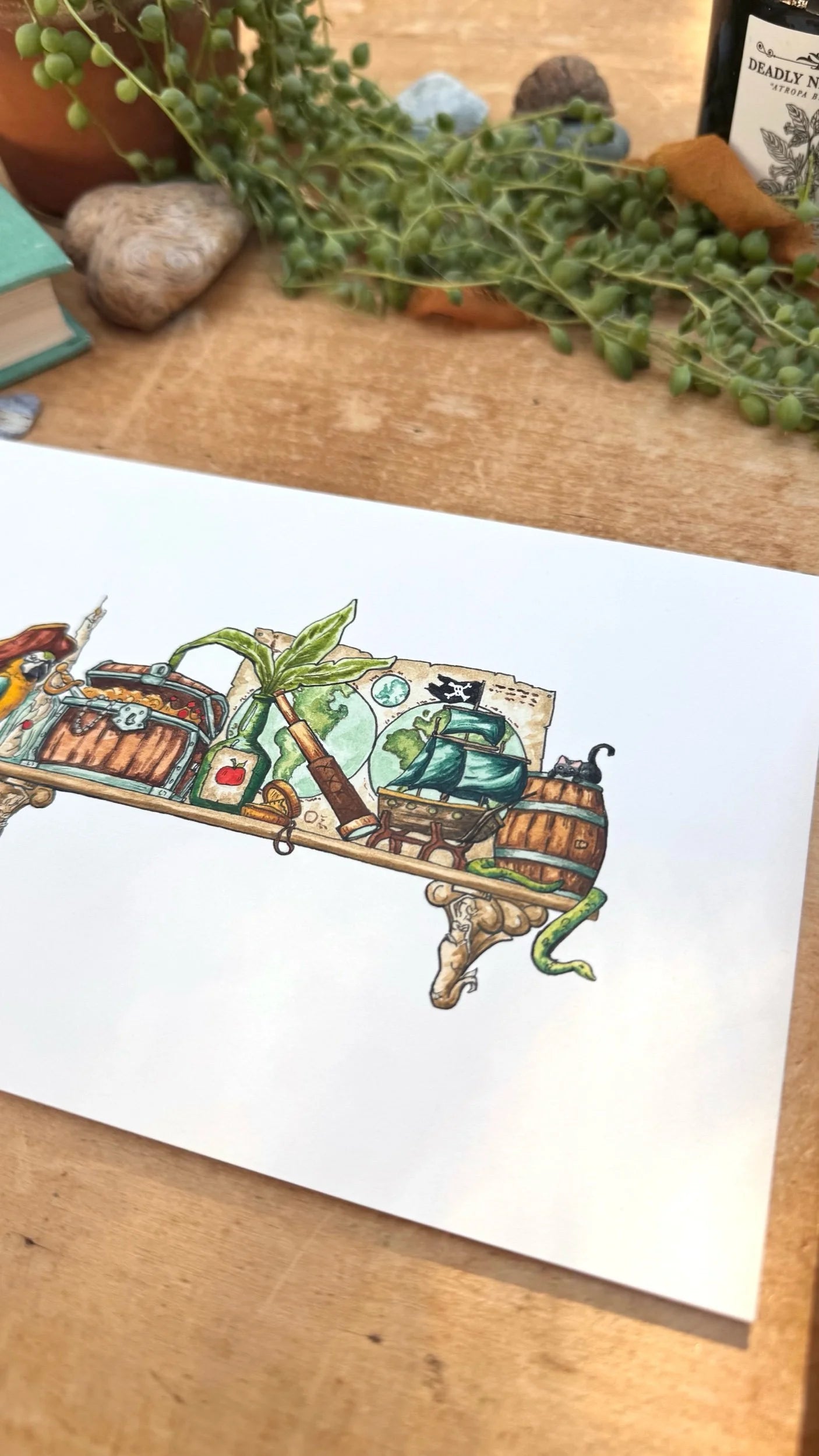 Original Mini Pirate's Shelf Illustration