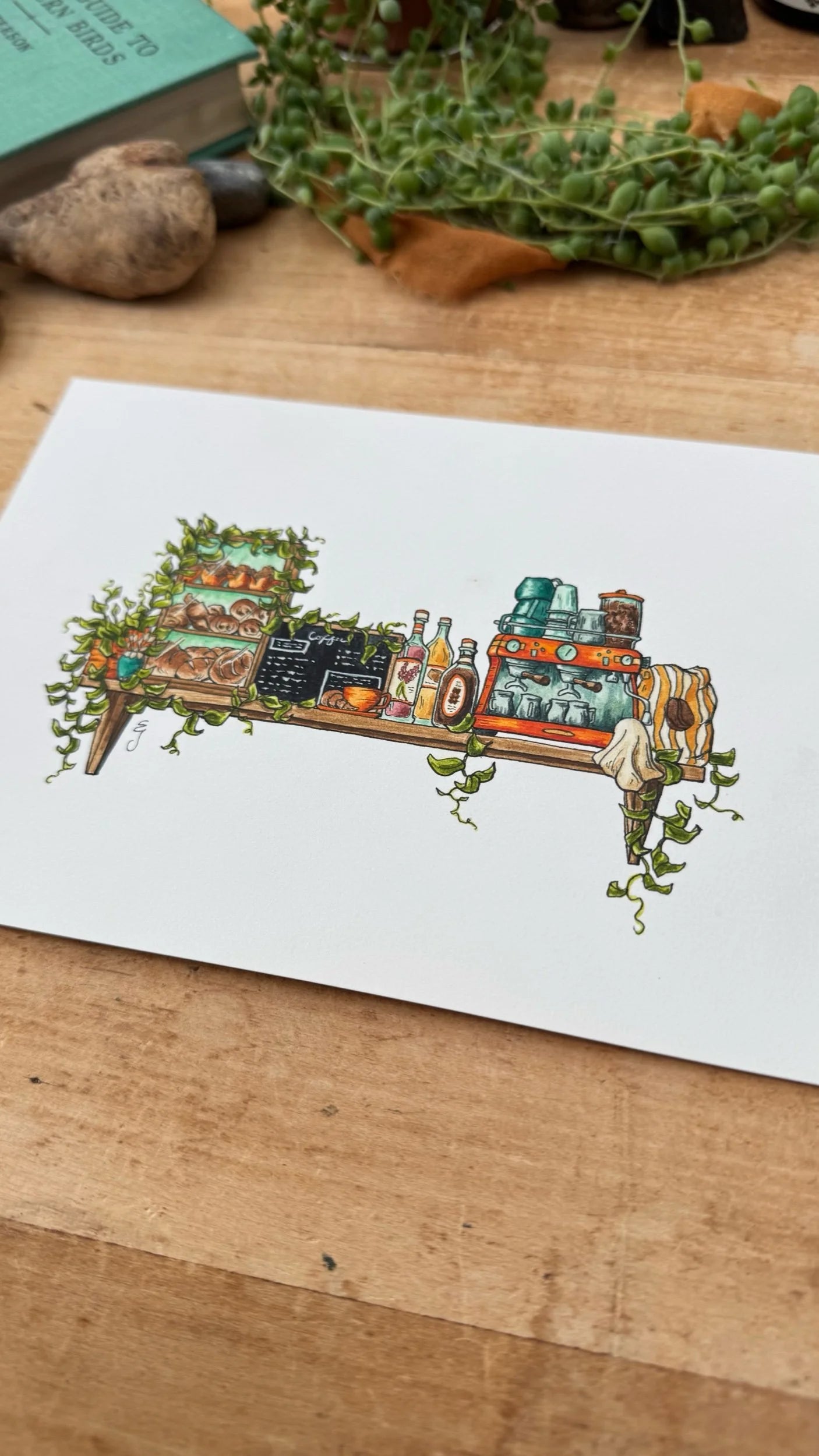 Original Mini Barista's Shelf Illustration