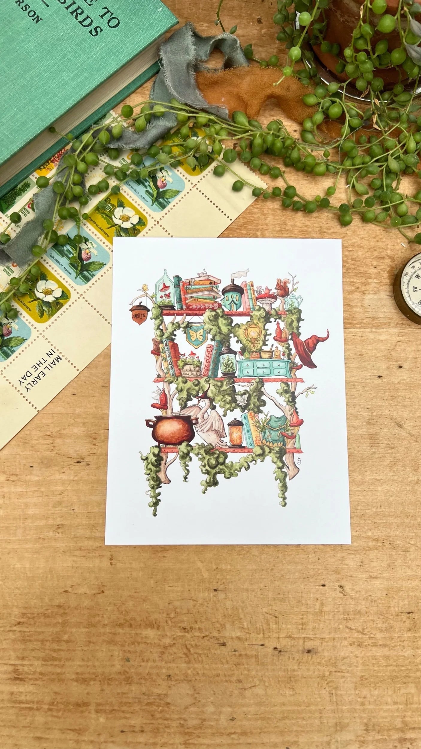 The Fairy Witch's Shelves Postcard