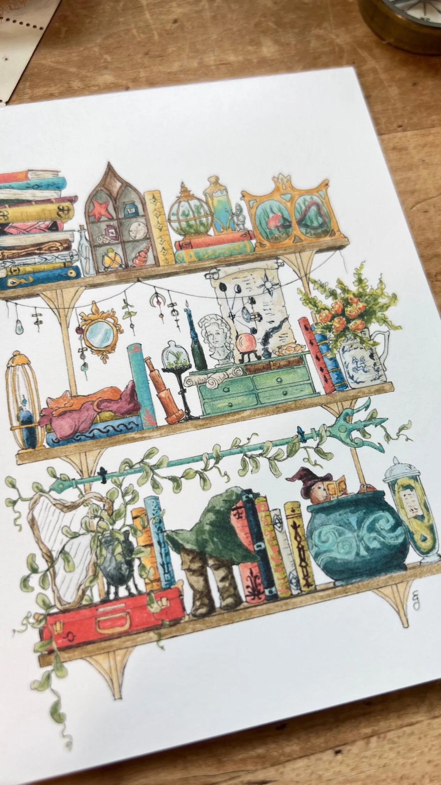 The Sea Witch's Shelves Postcard