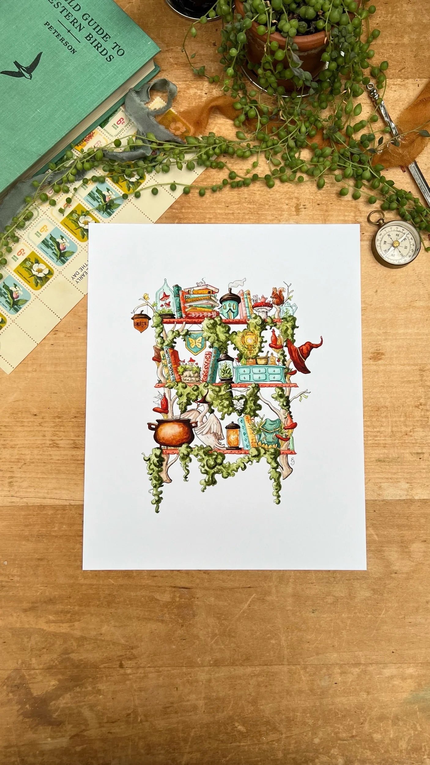 The Fairy Witch's Shelves Giclée Print