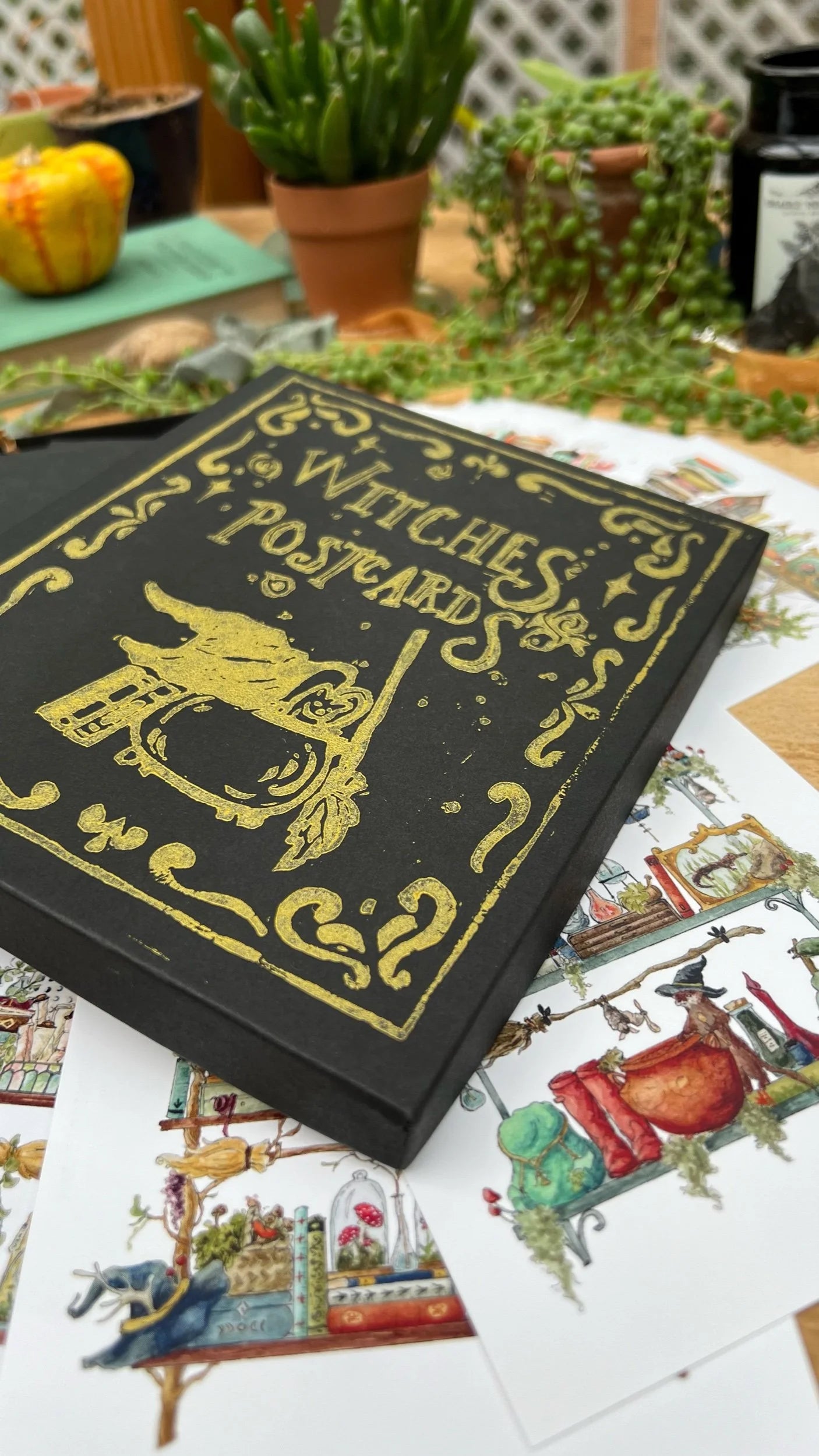 Witches Postcards Box Set