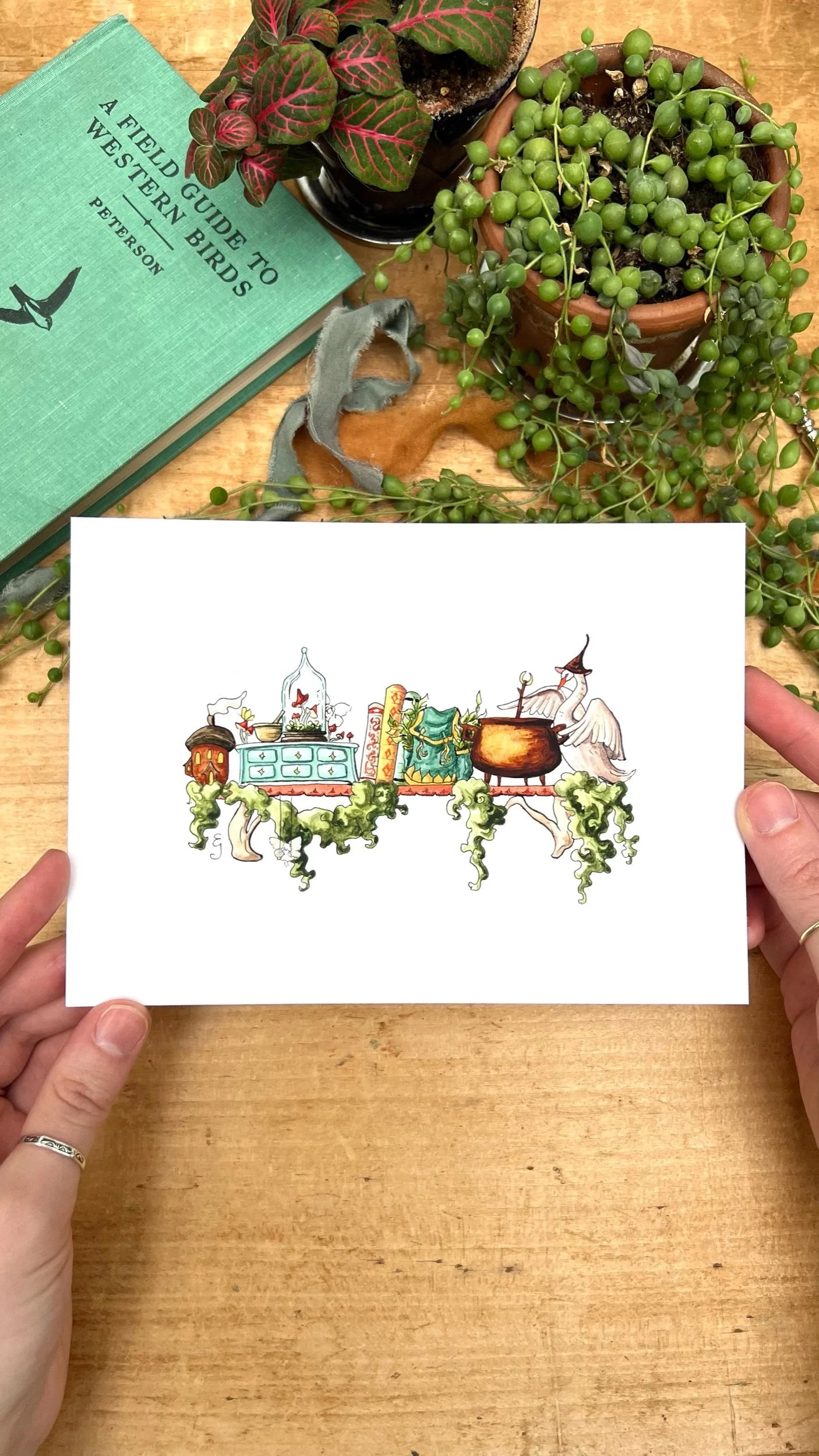 Mini Witches Shelves Giclée Print Bundle, Vol. 2