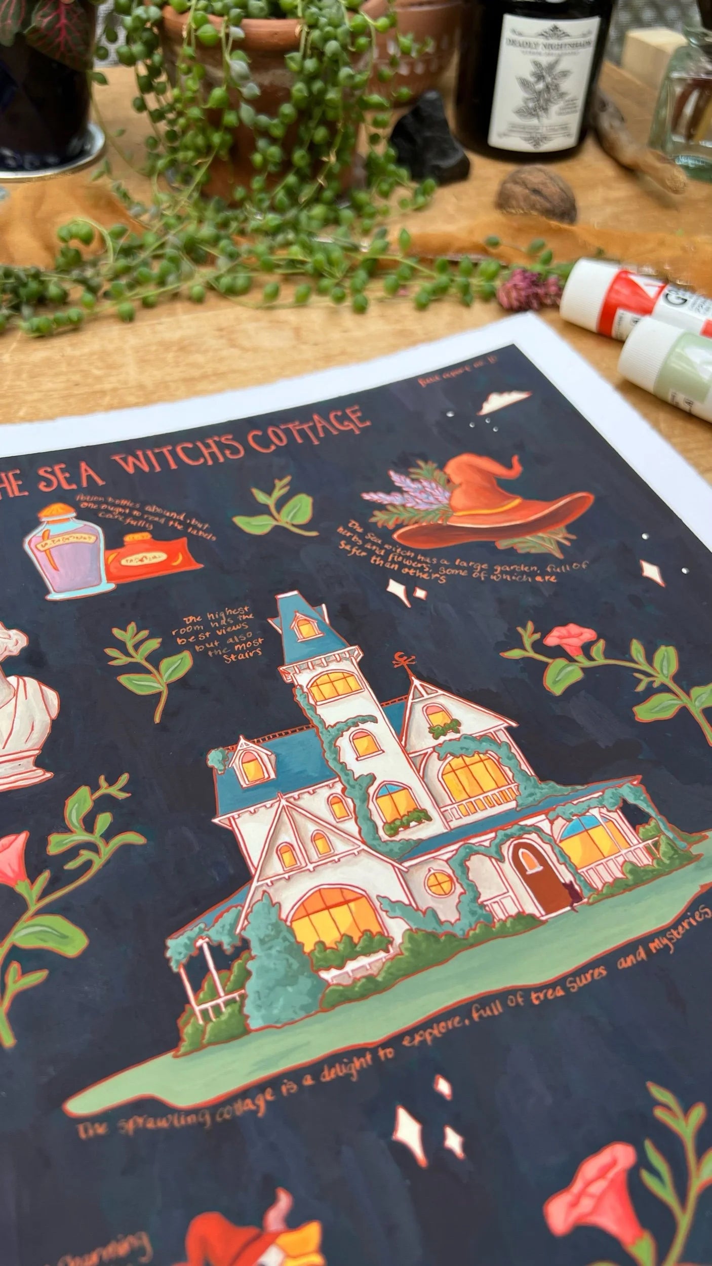 Original Sea Witch's Cottage Field Report