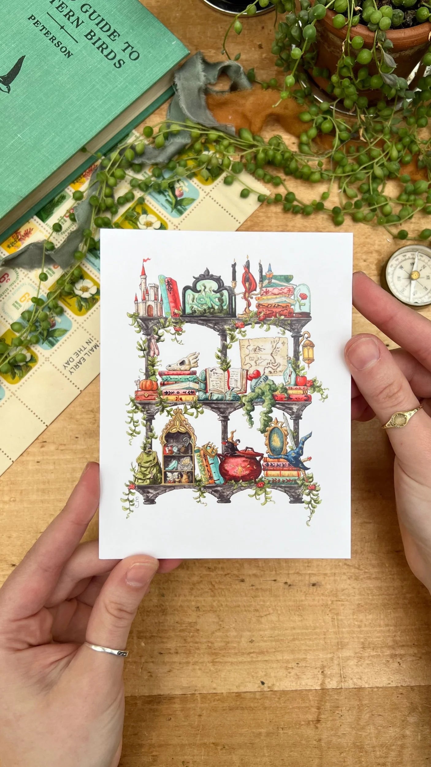The Storybook Witch's Shelves Postcard