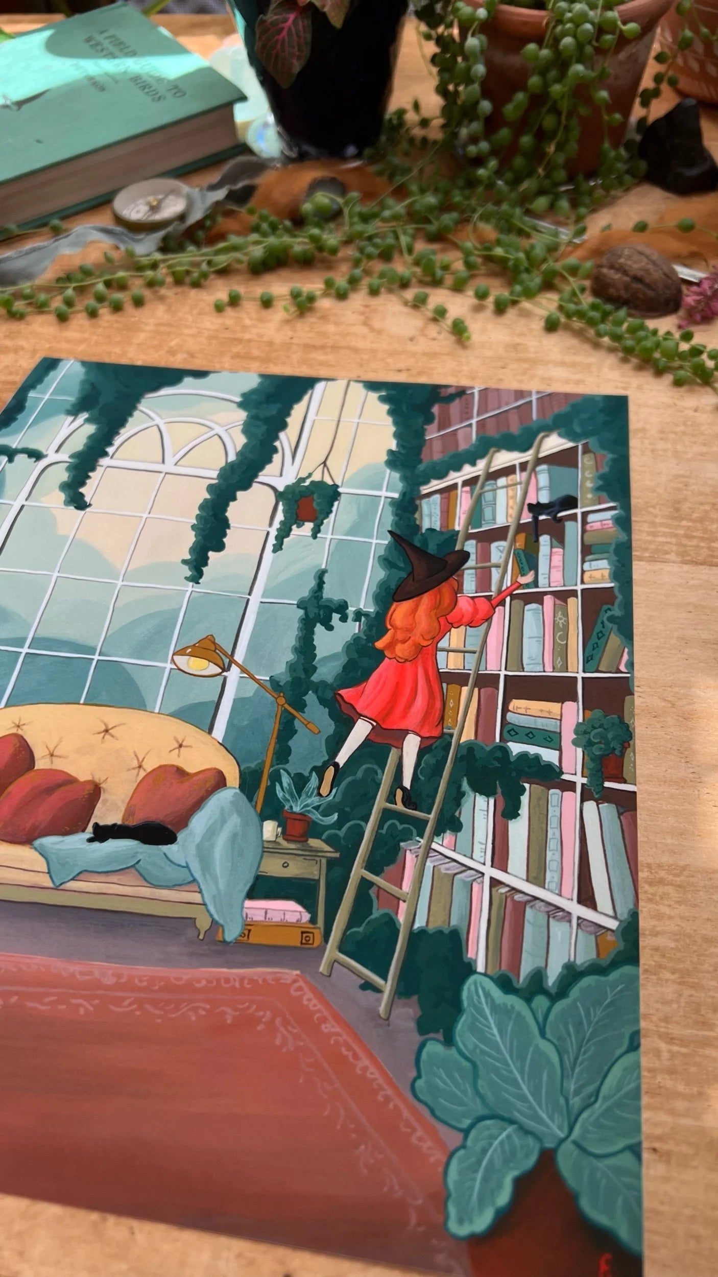 Library Ladder Print