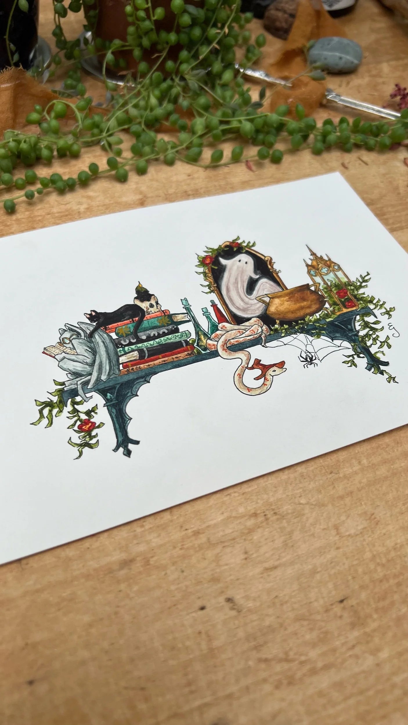 Original Mini Gothic Witch's Shelf Illustration