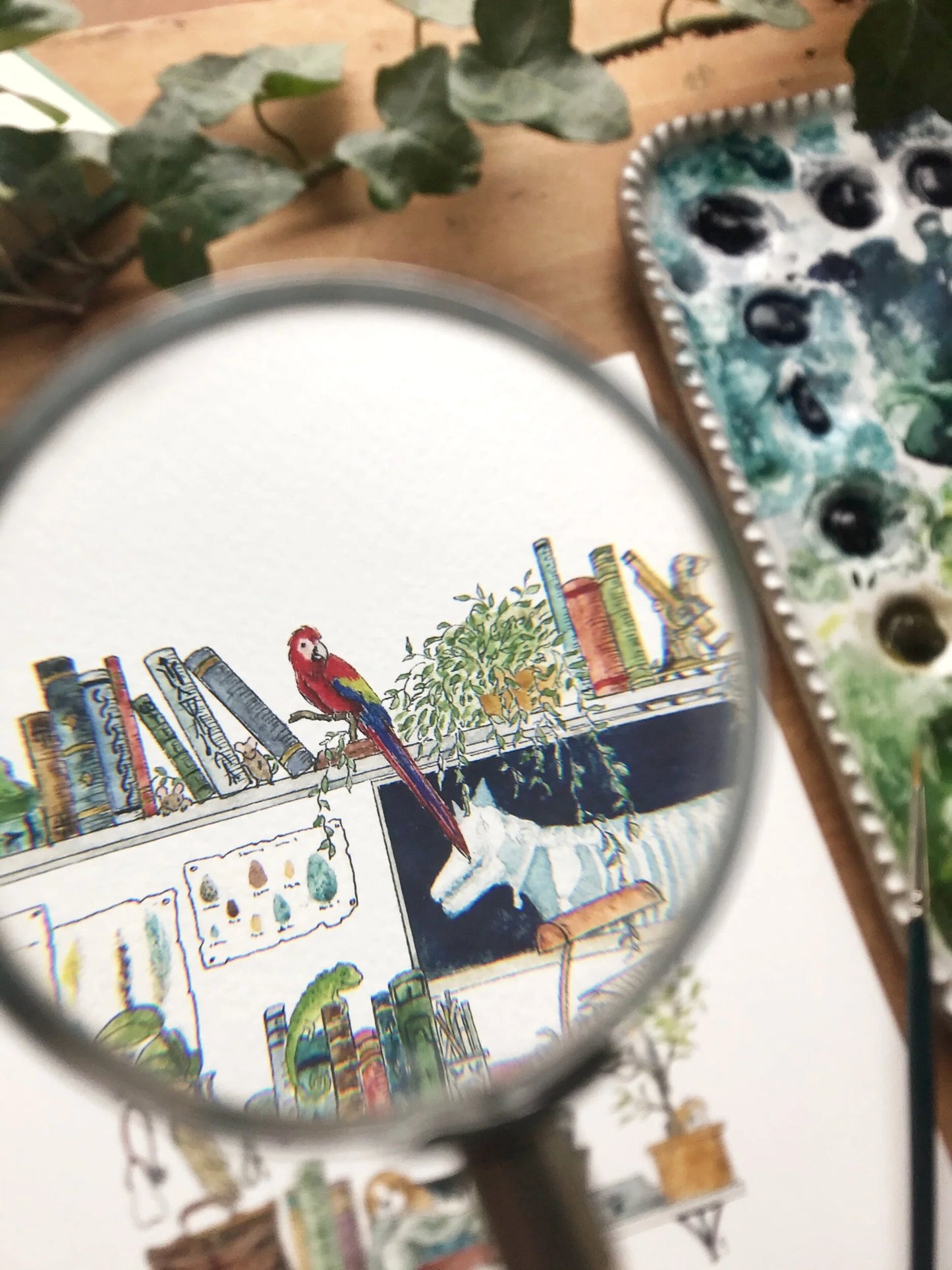 The Veterinarian's Shelves Giclée Print