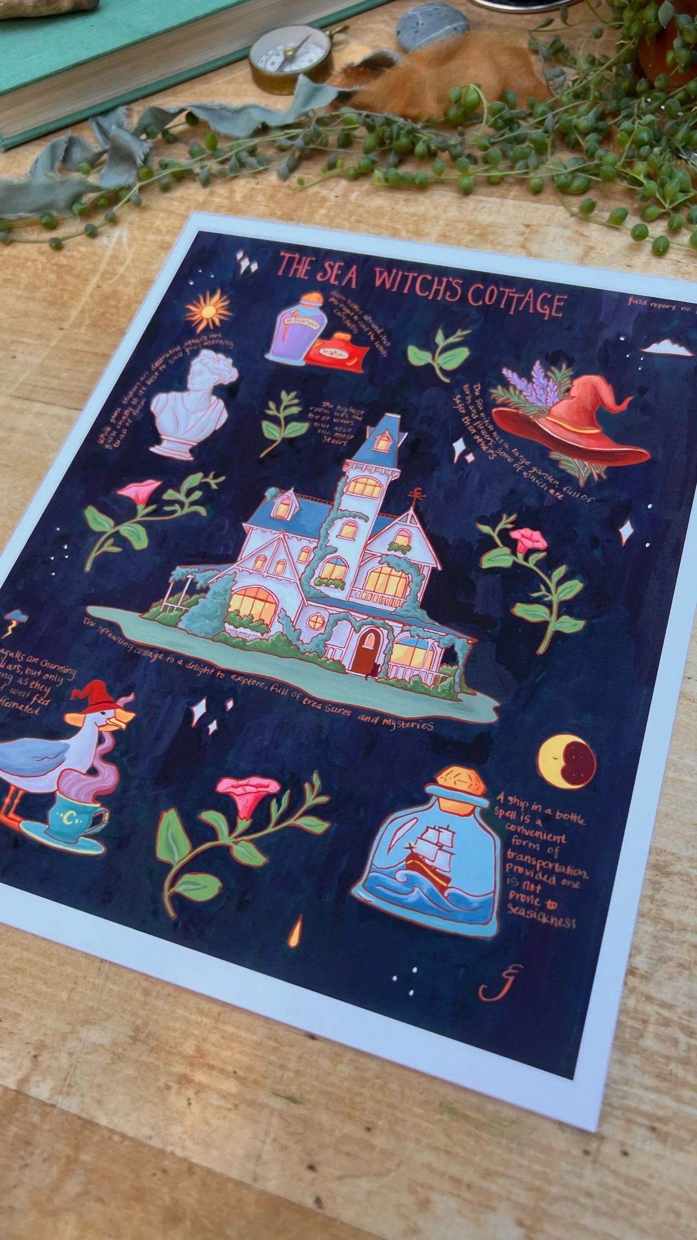 The Sea Witch's Cottage Field Report Giclée Print