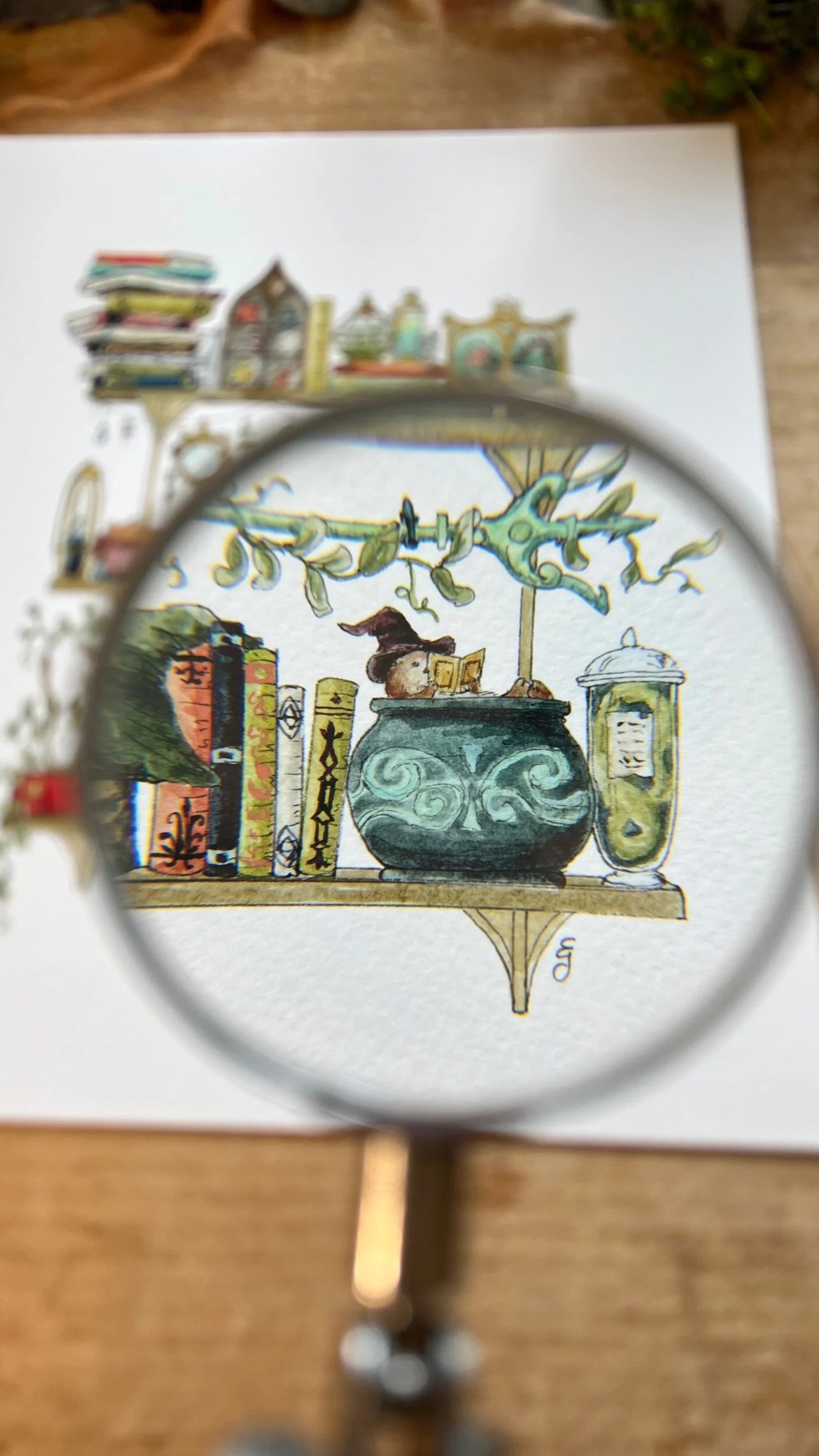 The Sea Witch's Shelves Giclée Print