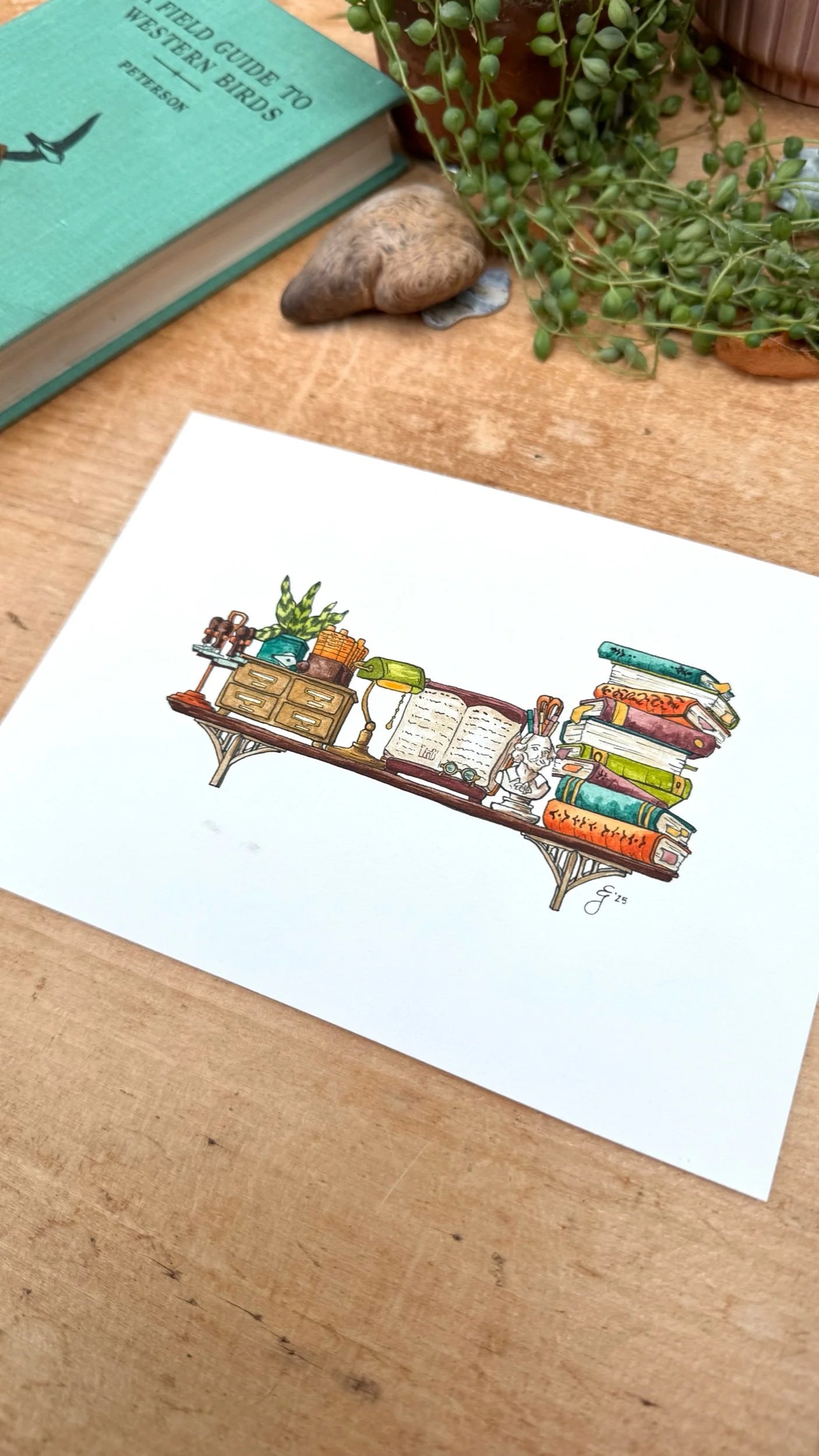 Original Mini Librarian's Shelf Illustration