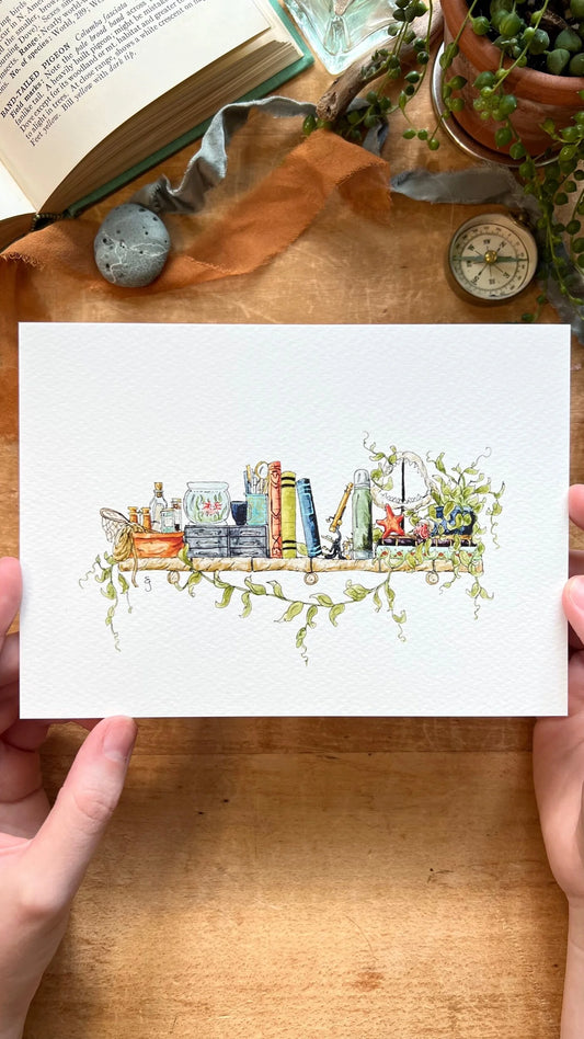 The Mini Marine Biologist's Shelf Giclée Print