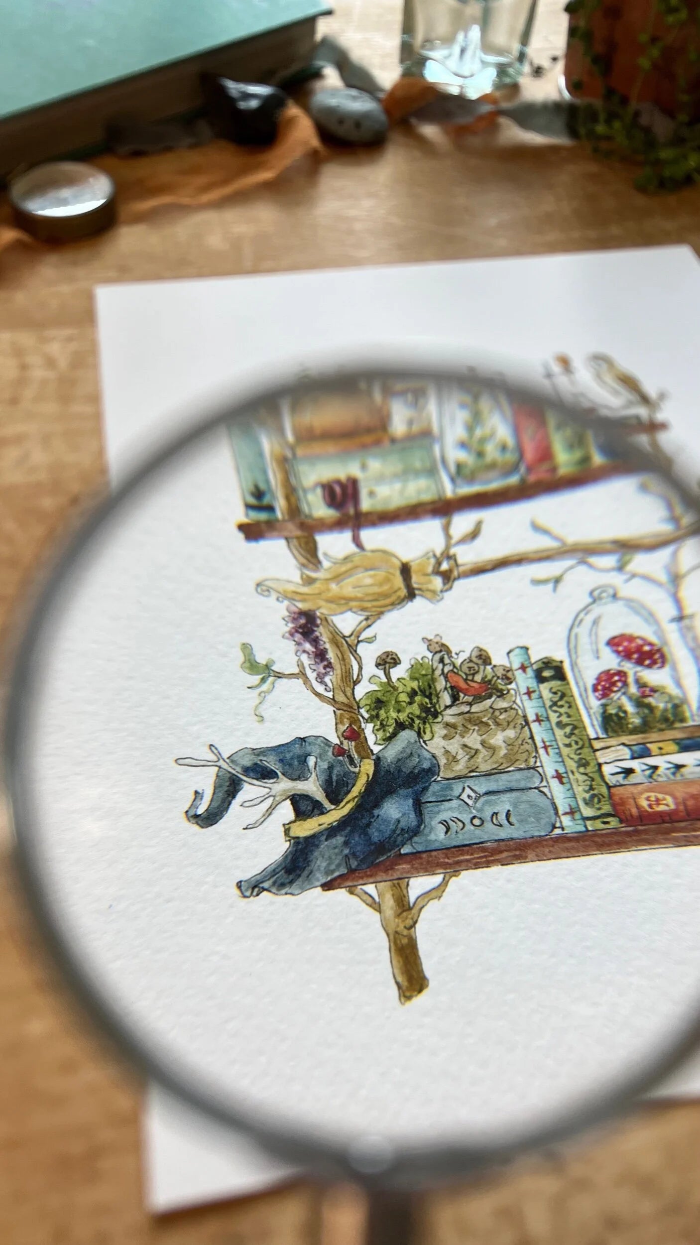 The Forest Witch's Shelves Giclée Print