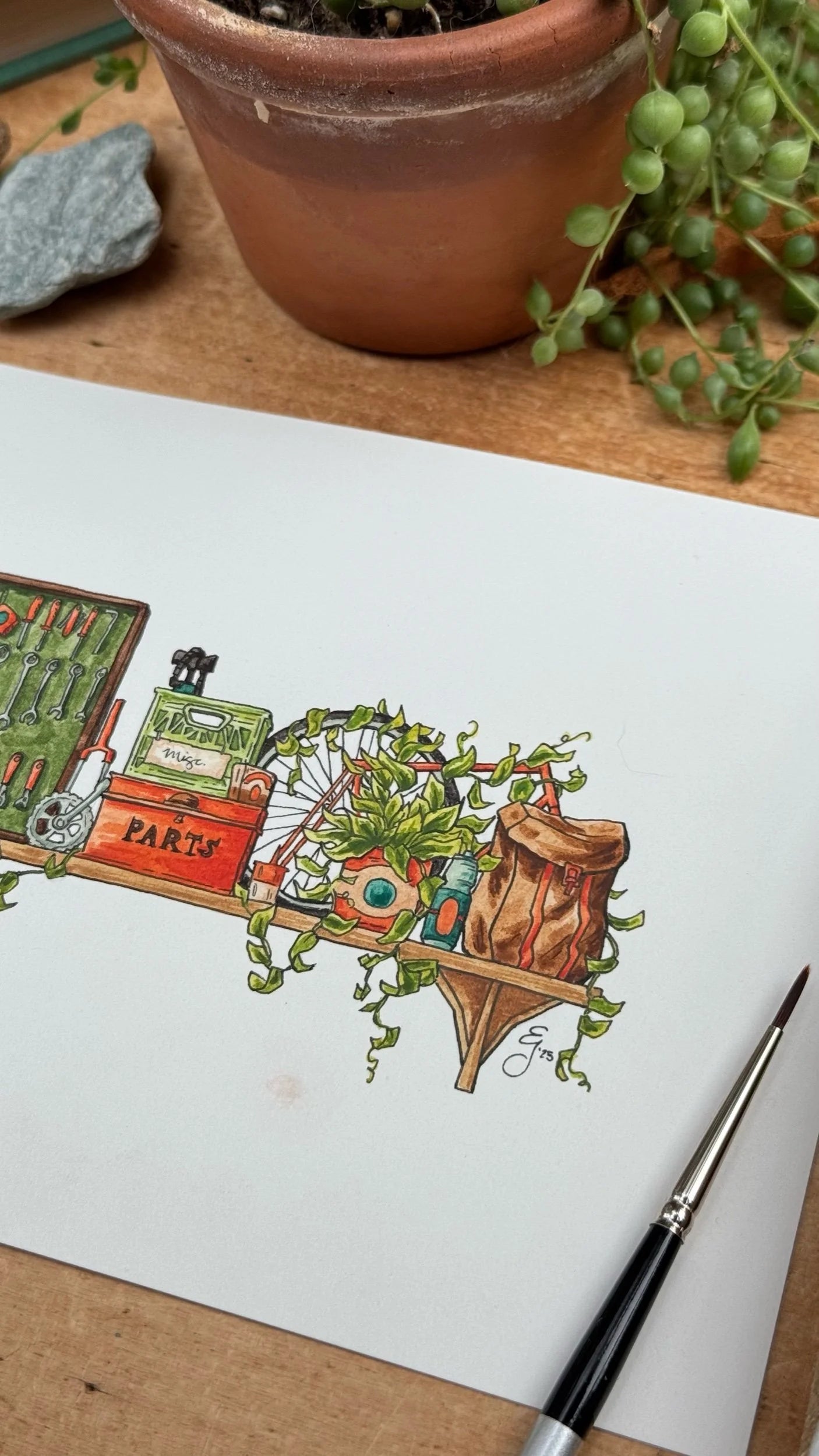 Original Mini Cyclist's Shelf Illustration