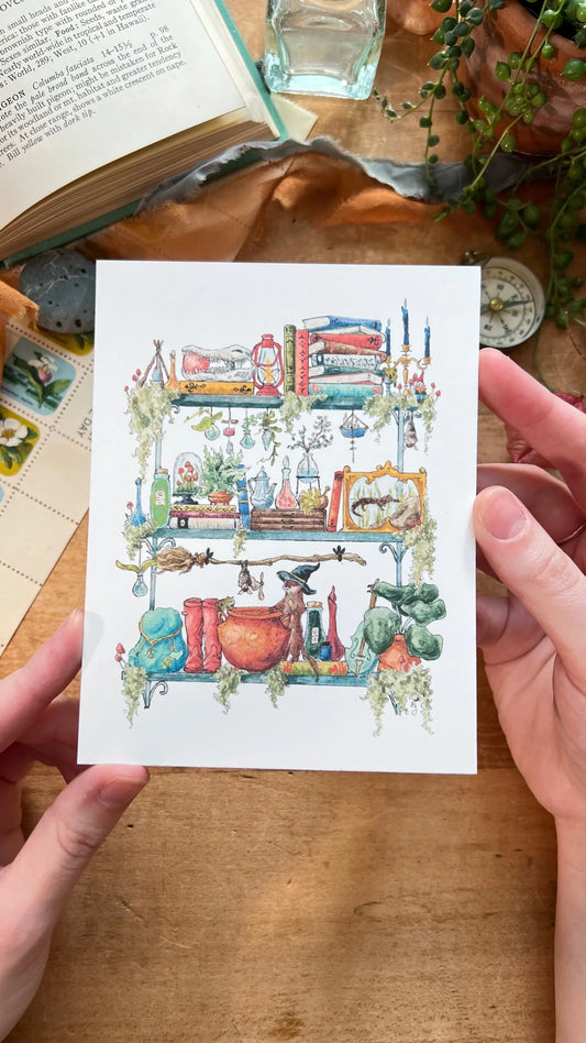 The Swamp Witch's Shelves Postcard