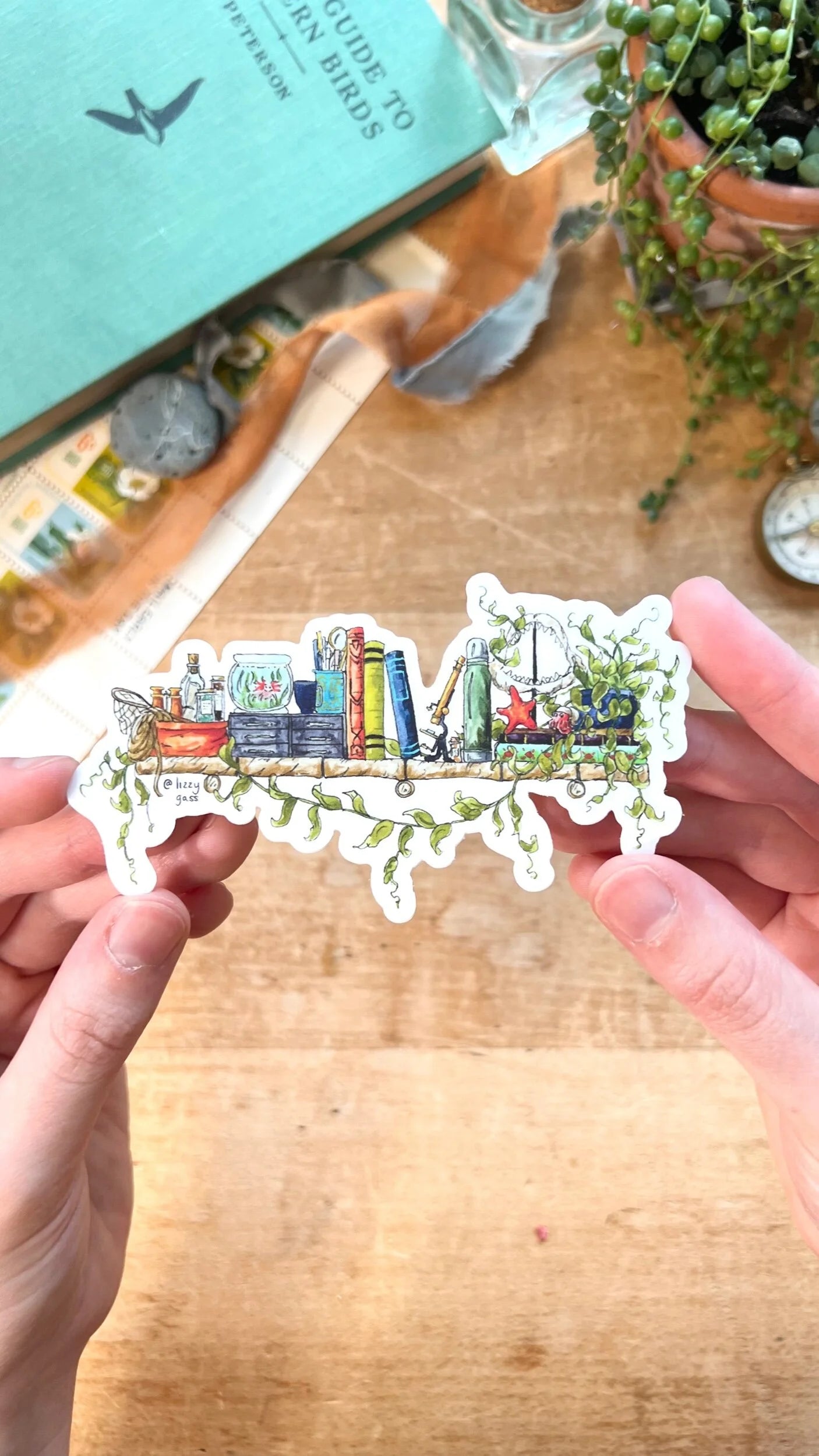 The Mini Marine Biologist's Shelf Sticker