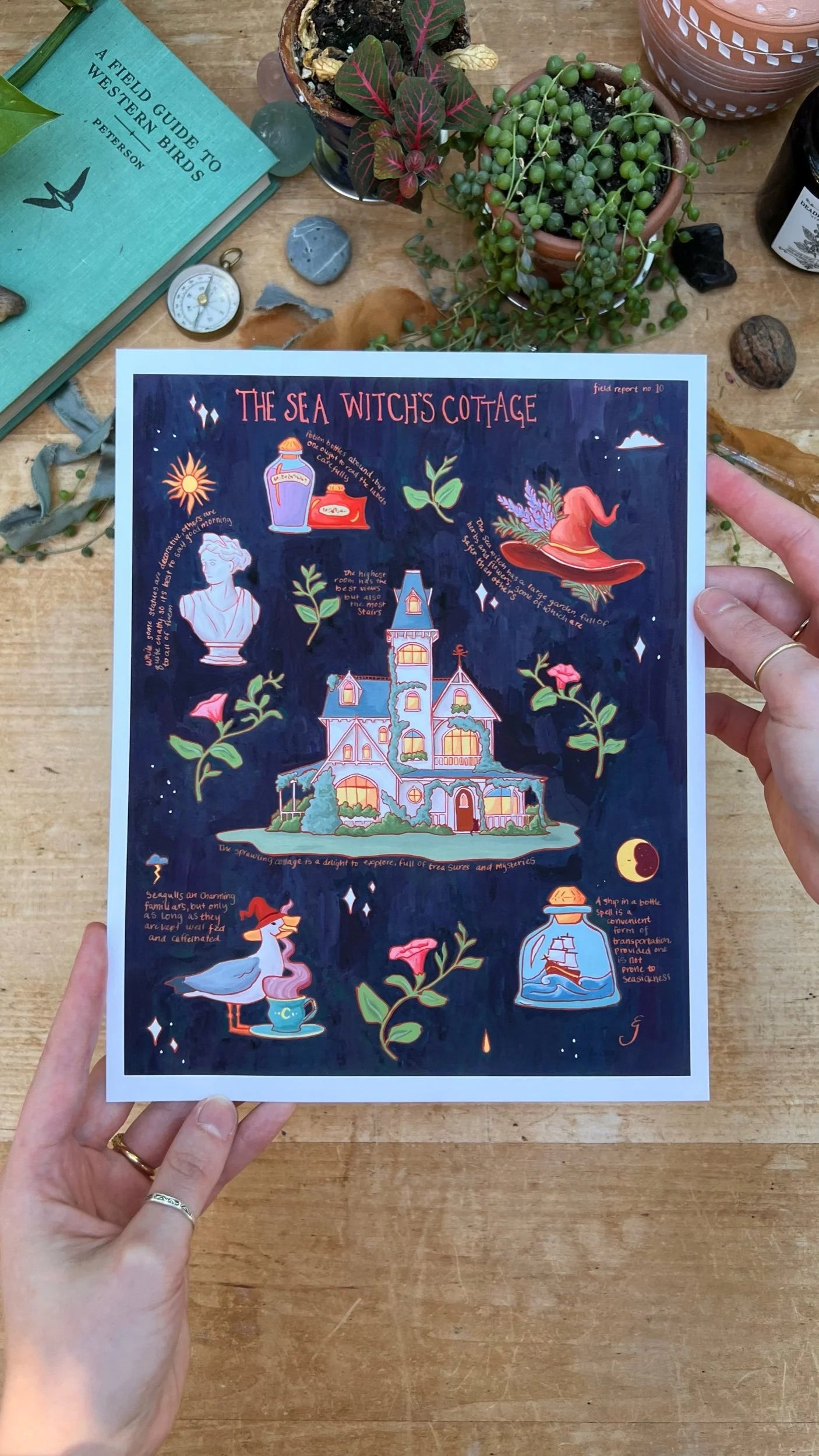 Witches' Cottages Print Bundle