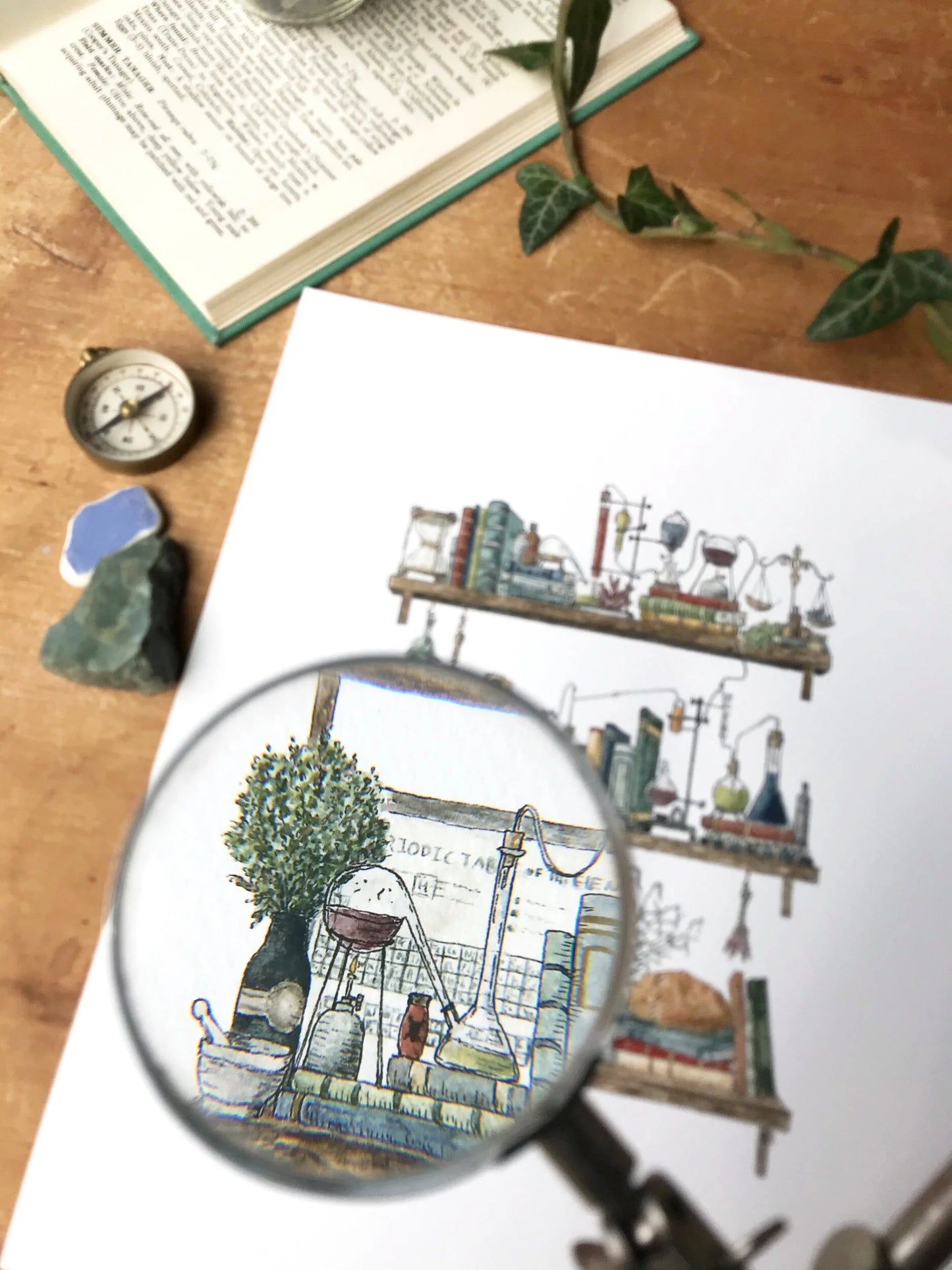 The Chemist's Shelves Giclée Print