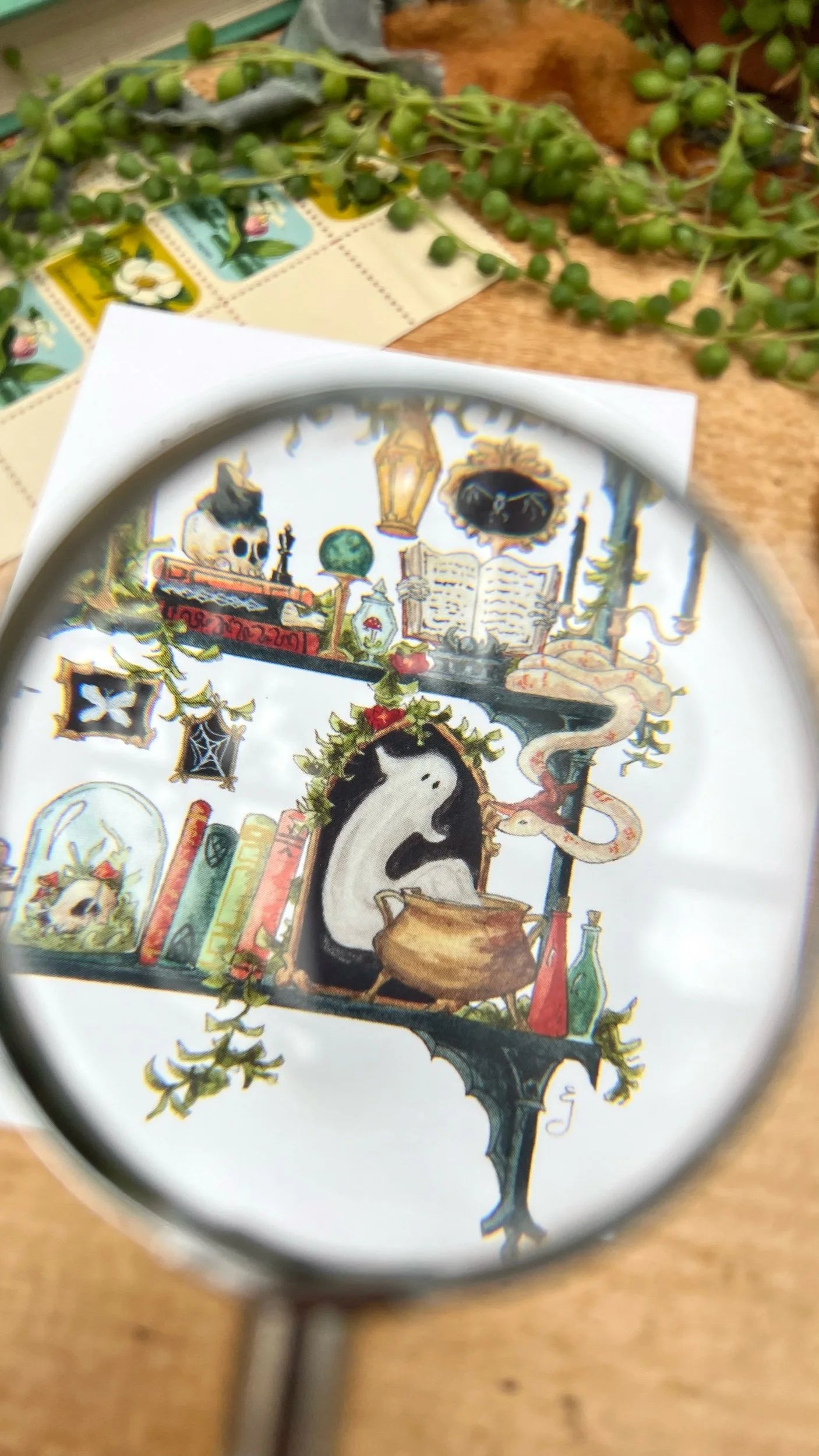 The Gothic Witch's Shelves Postcard