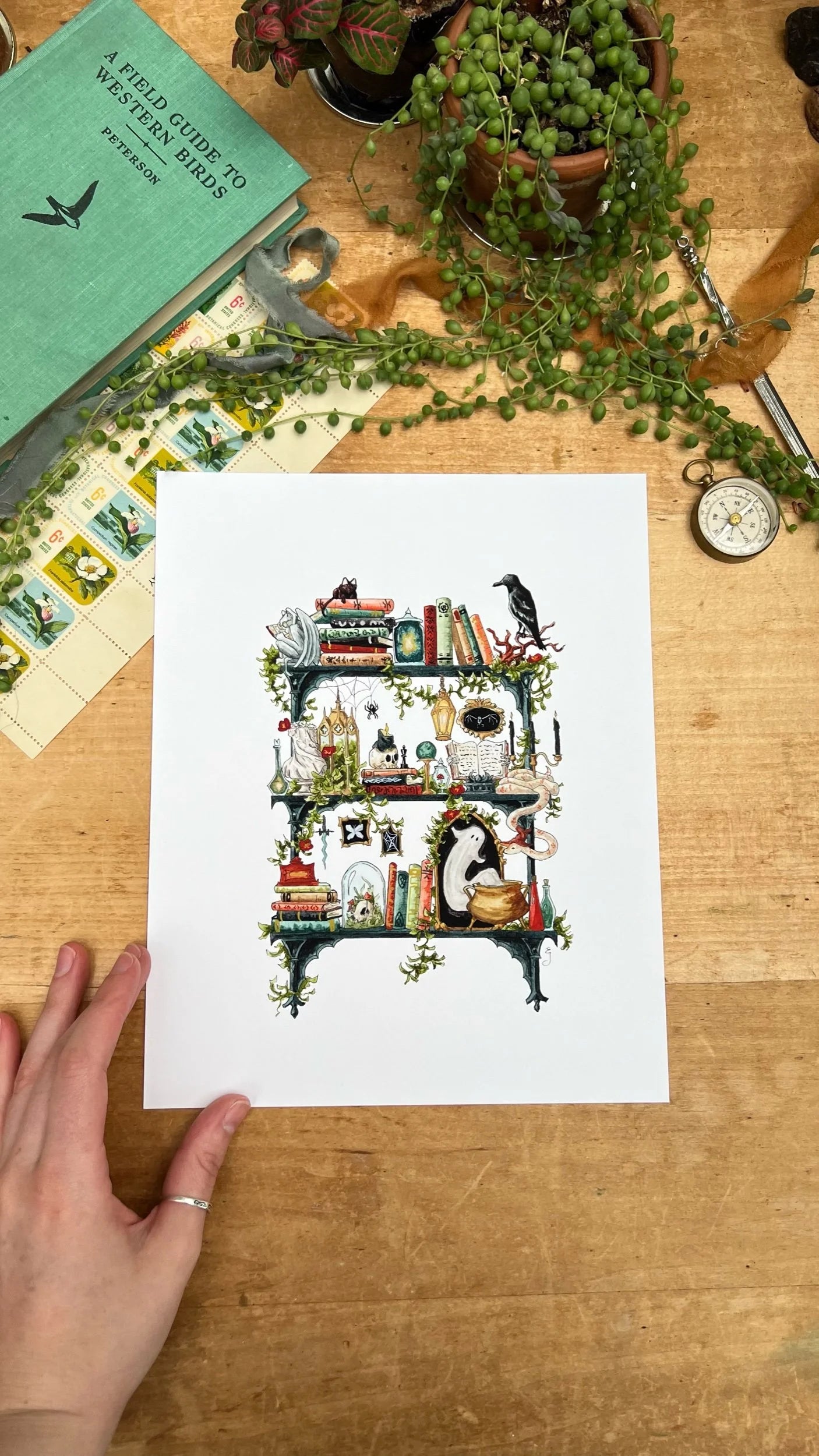 The Gothic Witch's Shelves Giclée Print