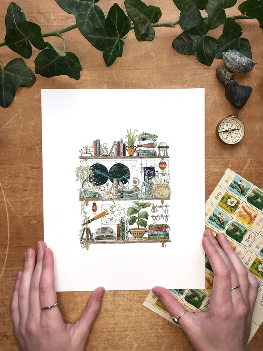 The Astronomer's Shelves Giclée Print