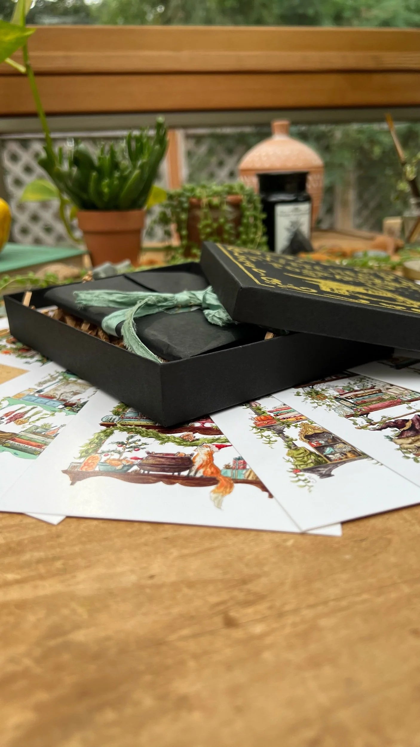 Witches Postcards Box Set