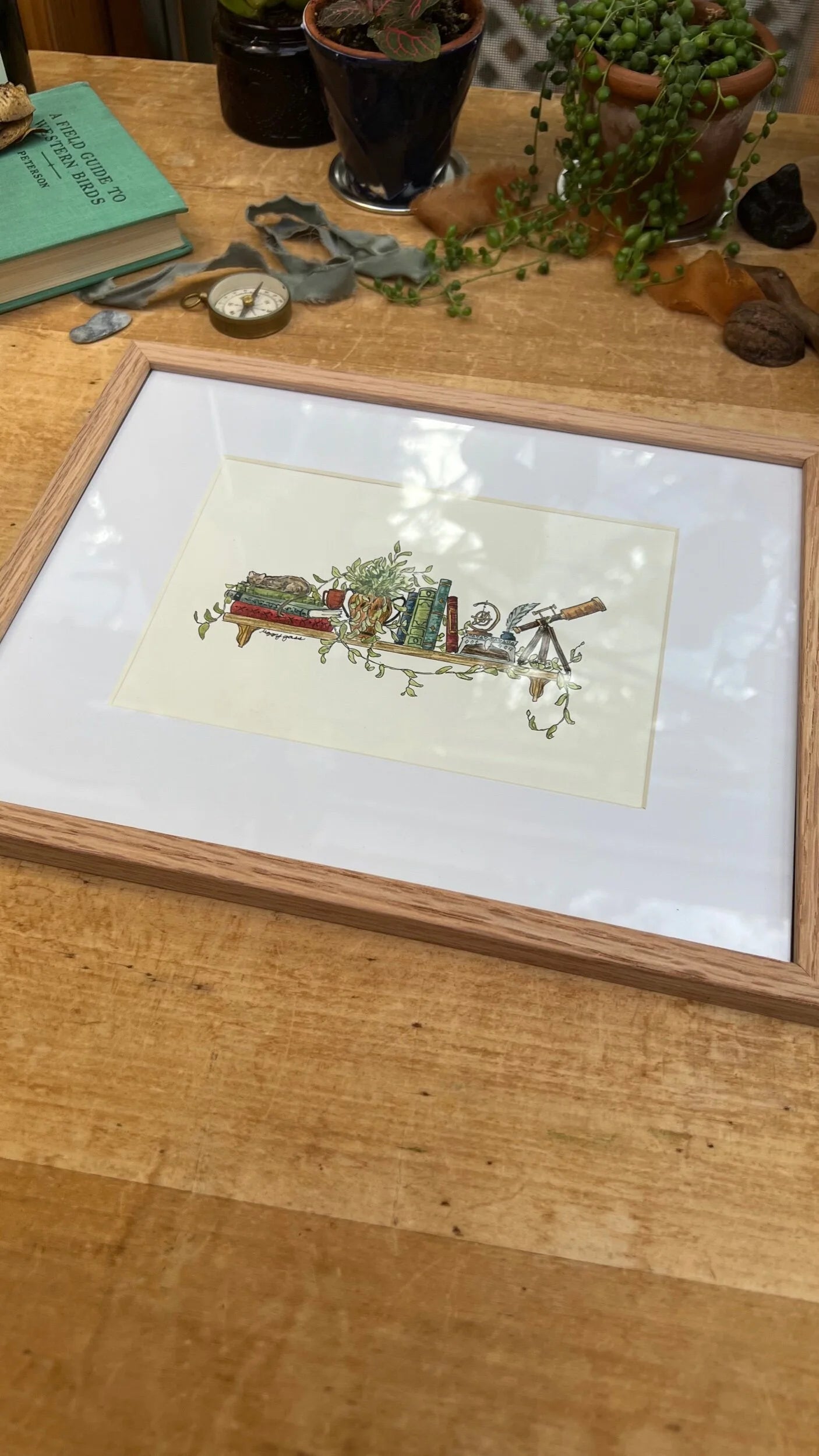 Framed Original Mini Astronomer's Shelf Illustration