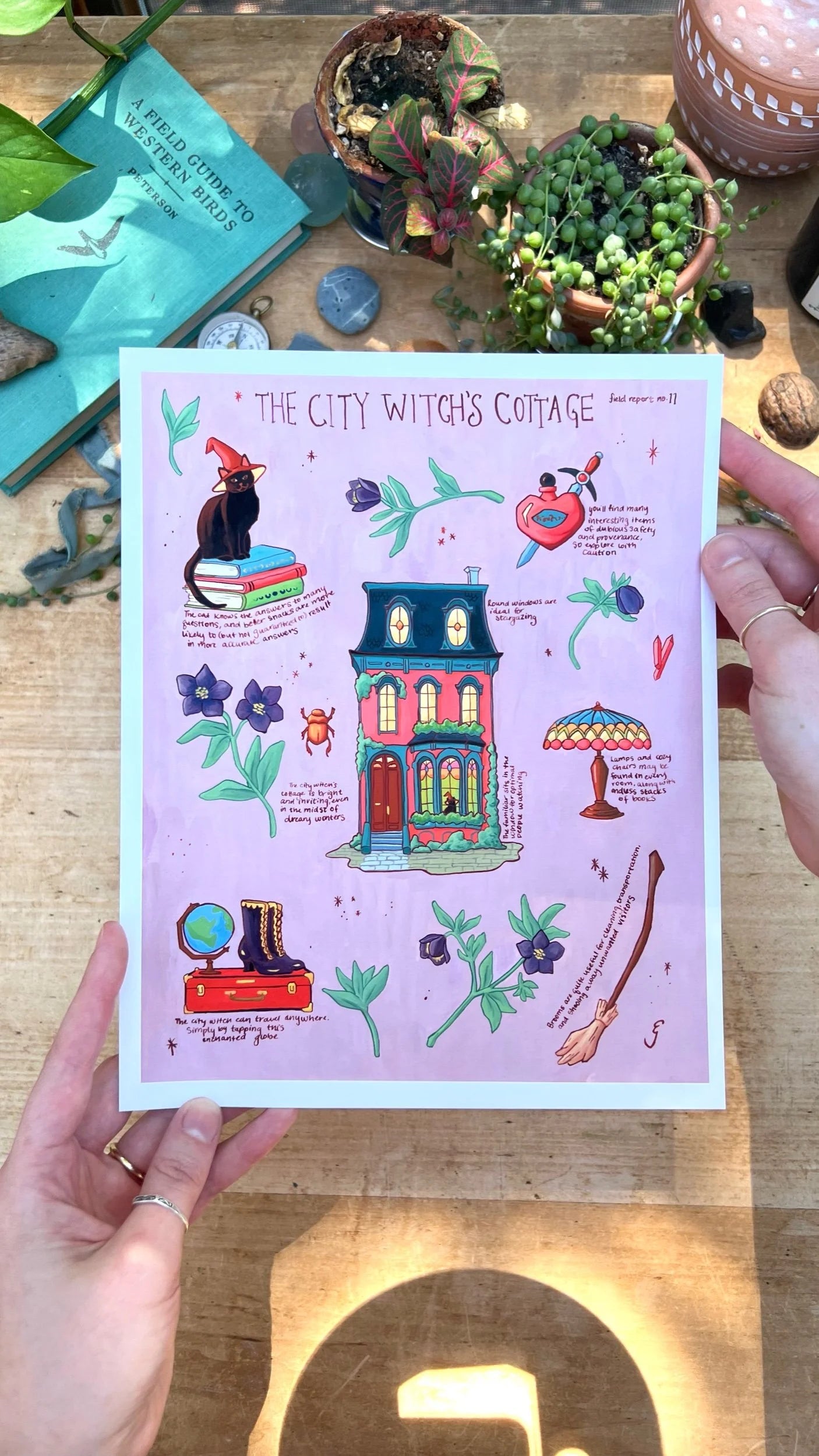 Witches' Cottages Print Bundle
