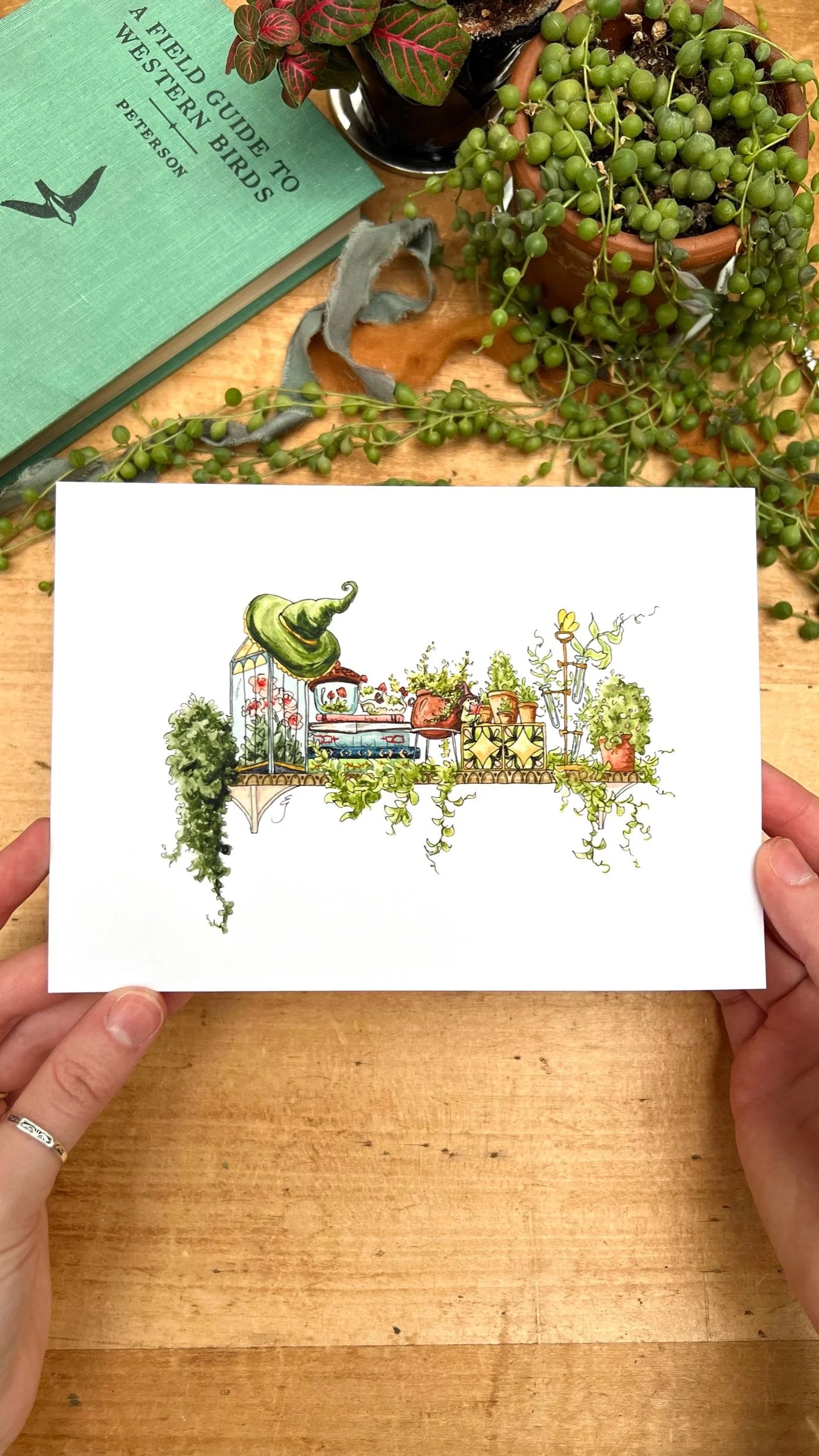 Mini Witches Shelves Giclée Print Bundle, Vol. 2