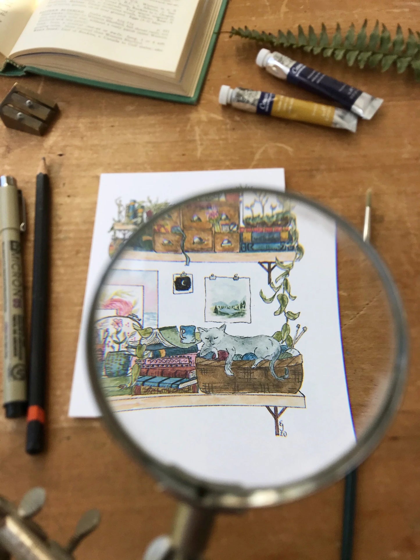 The Artist's Shelves Postcard