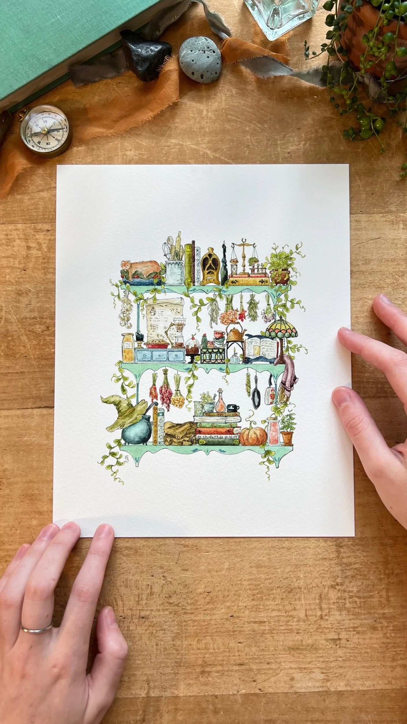 The Kitchen Witch's Shelves Giclée Print