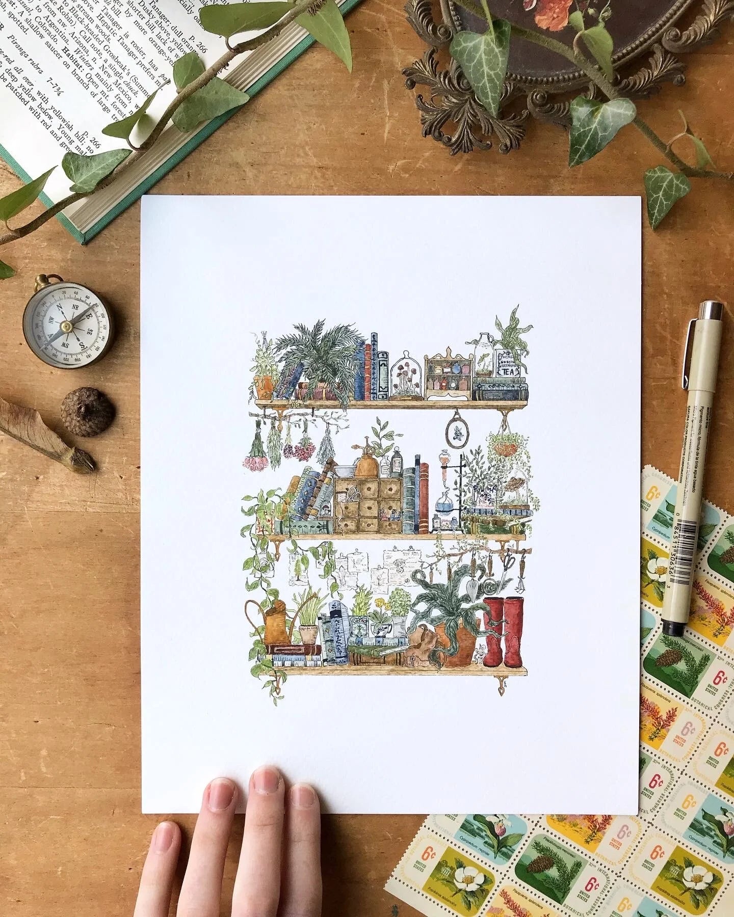 The Botanist's Shelves Giclée Print