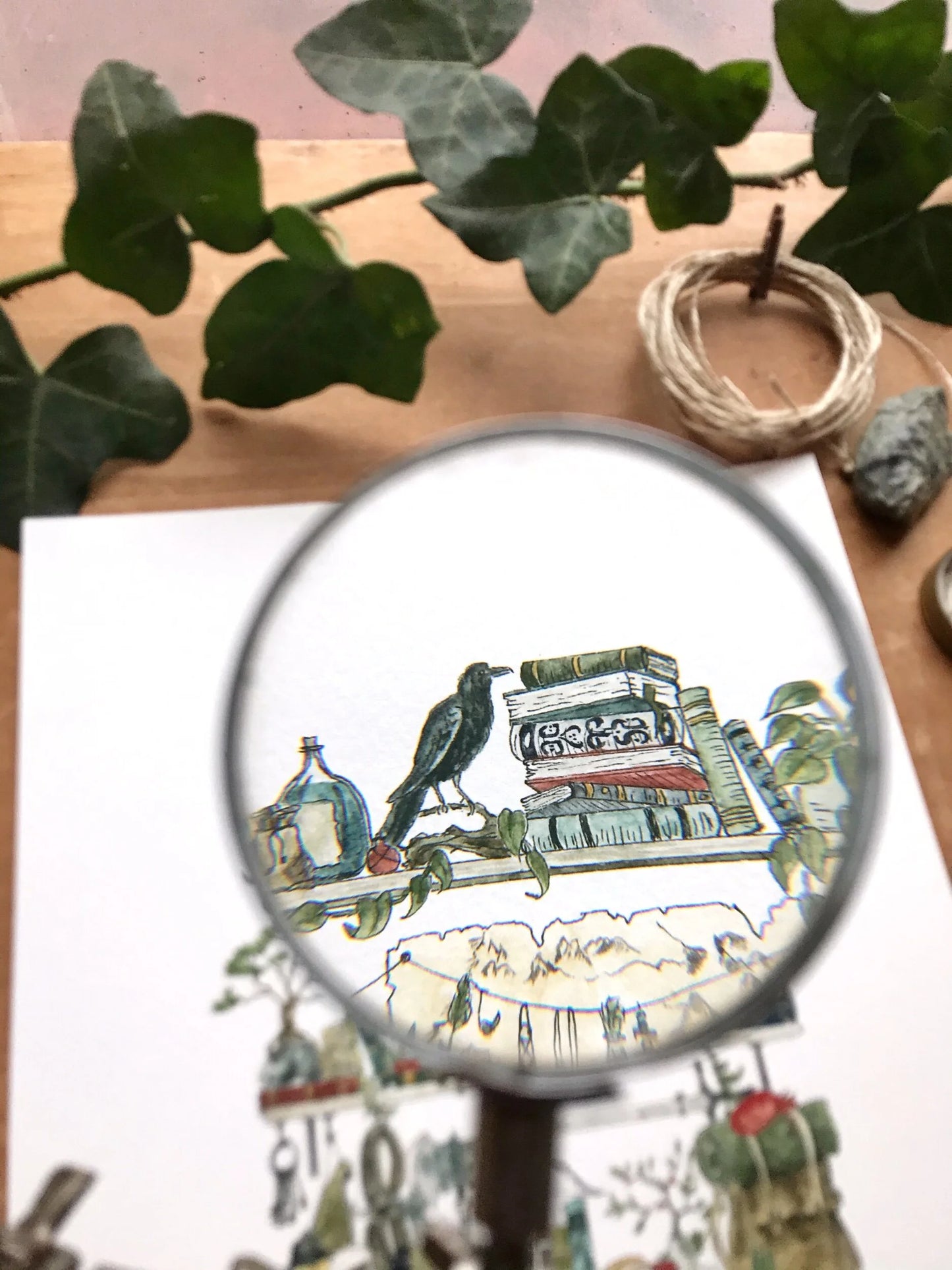 The Adventurer's Shelves Giclée Print