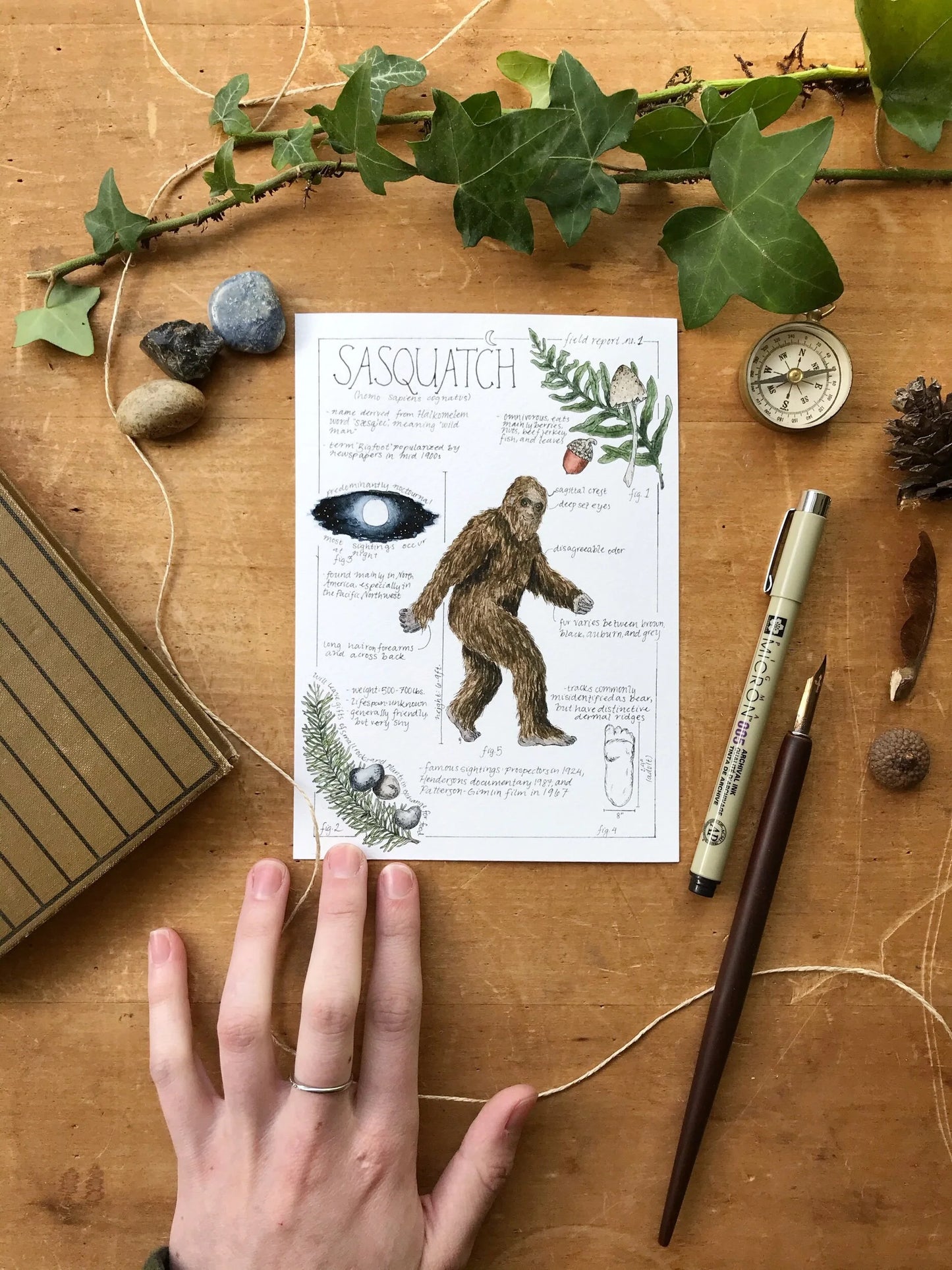 Sasquatch Field Report Giclée Print