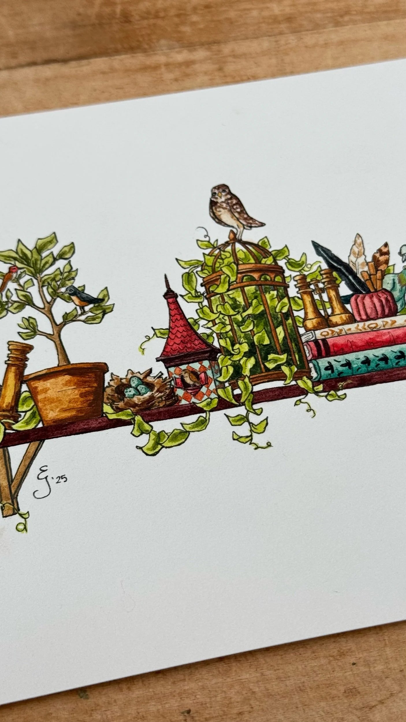 Original Mini Ornithologist's Shelf Illustration
