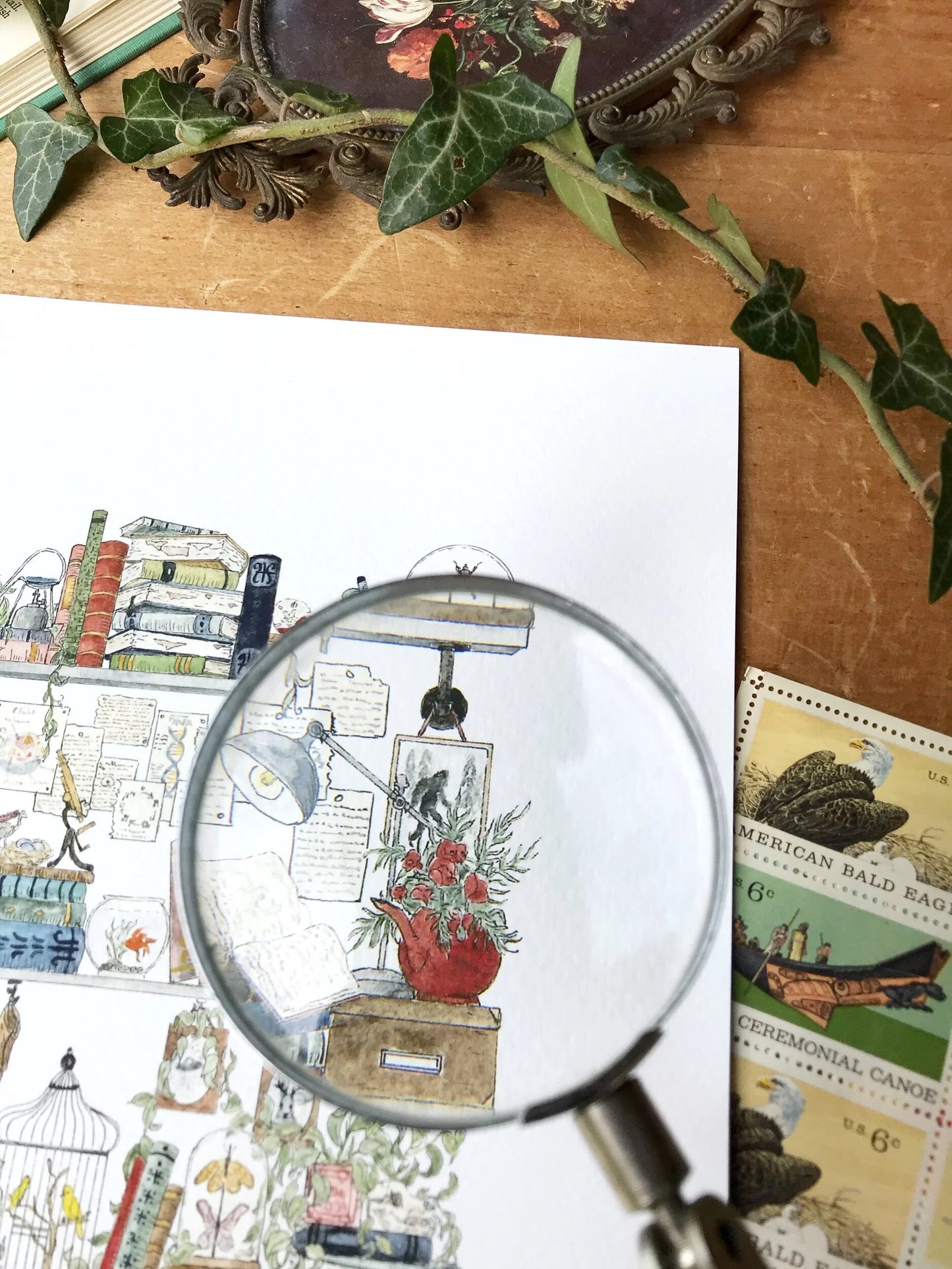 The Biologist's Shelves Giclée Print