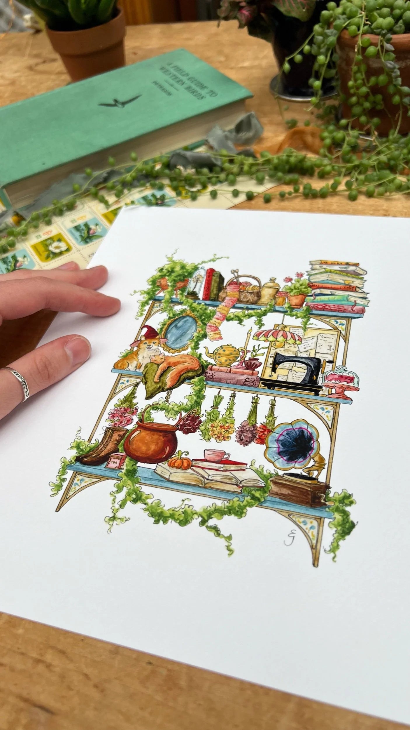The Hedge Witch's Shelves Giclée Print
