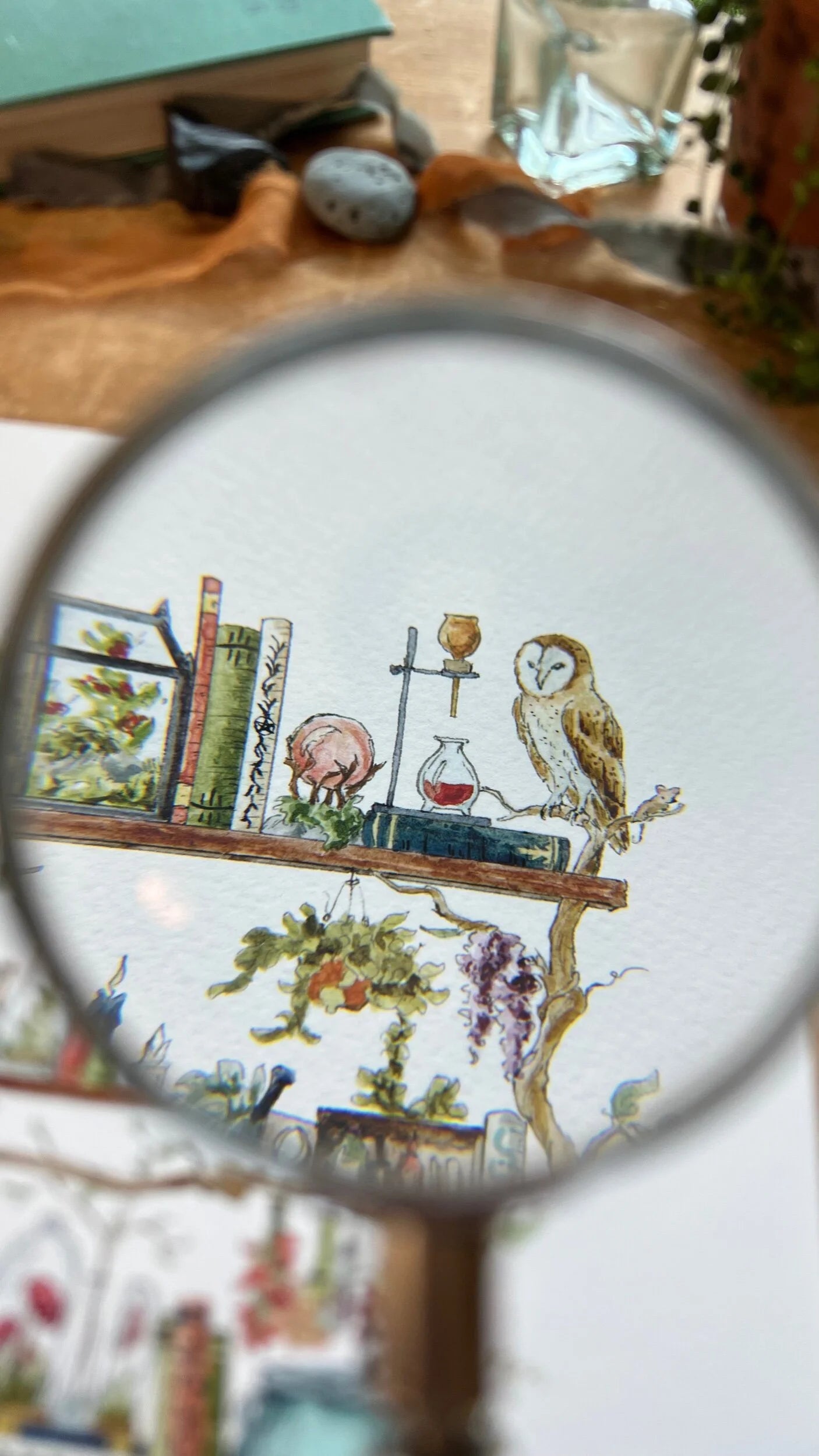 The Forest Witch's Shelves Giclée Print