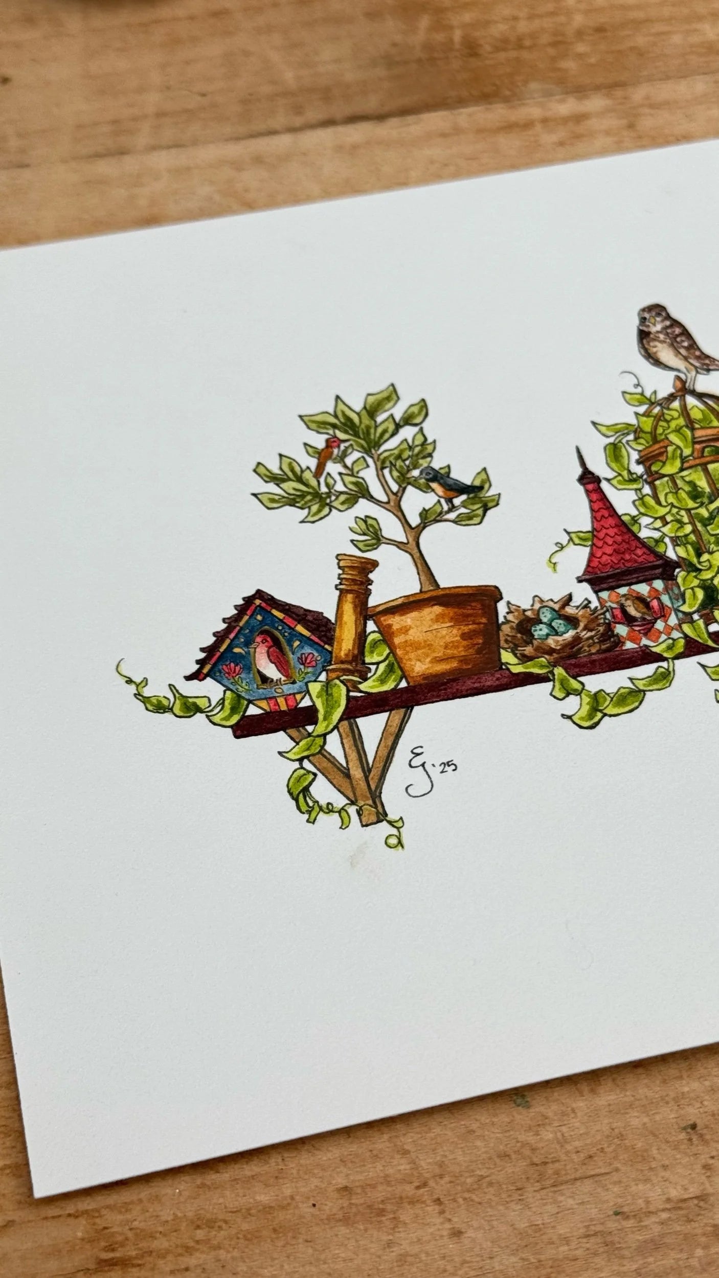 Original Mini Ornithologist's Shelf Illustration