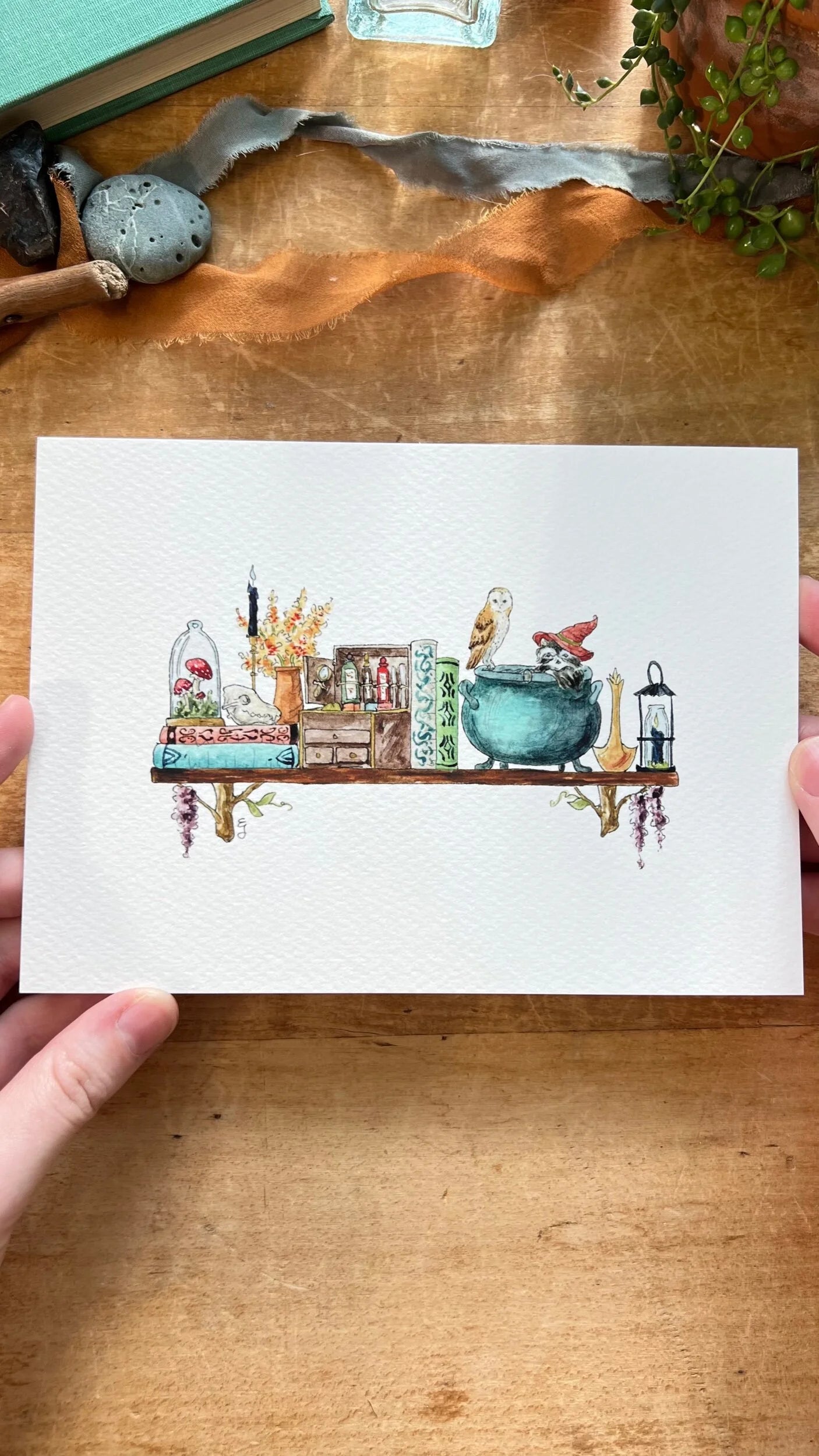Mini Witches Shelves Giclée Print Bundle, Vol. 1