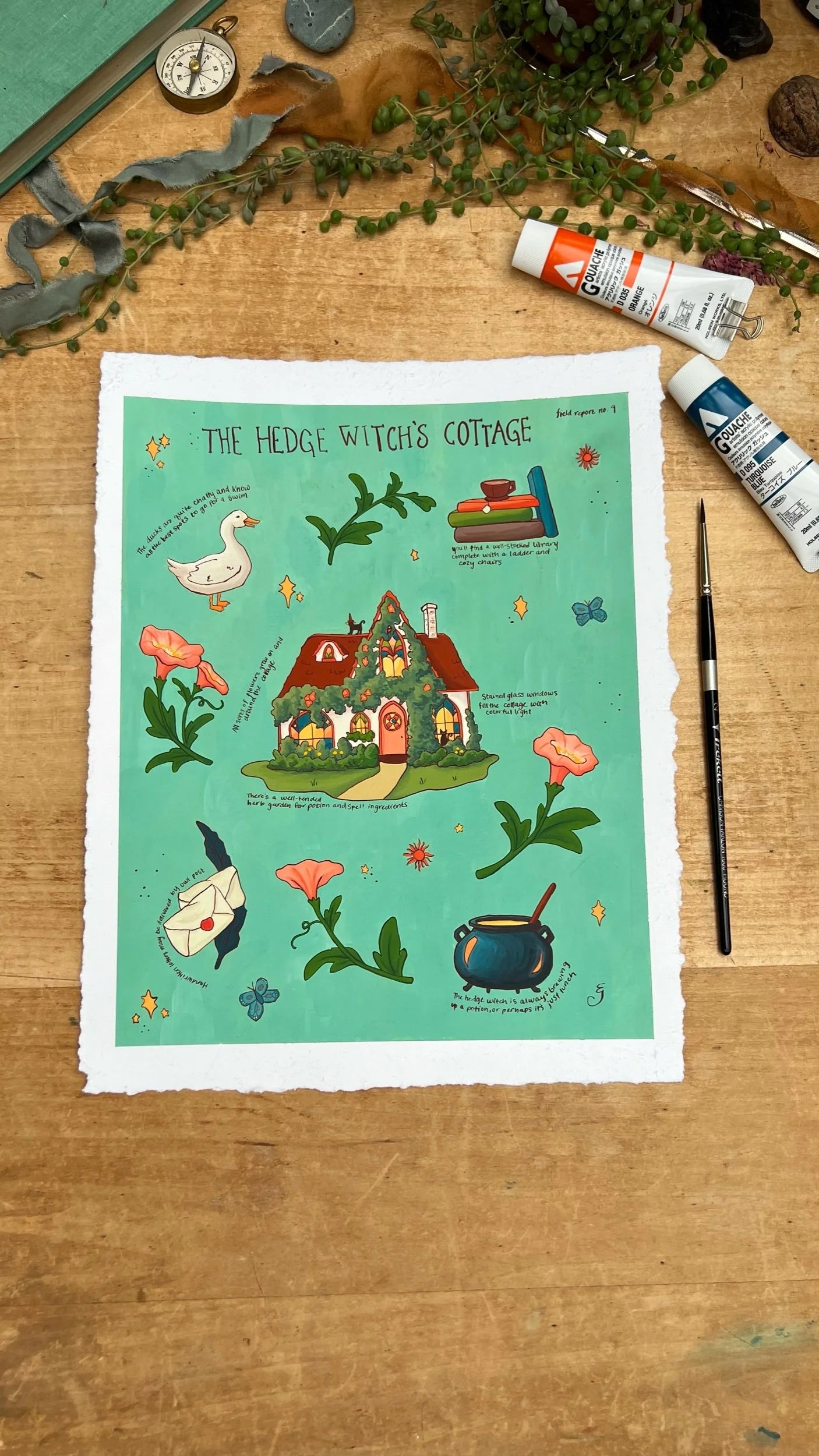 Original Hedge Witch's Cottage Field Report