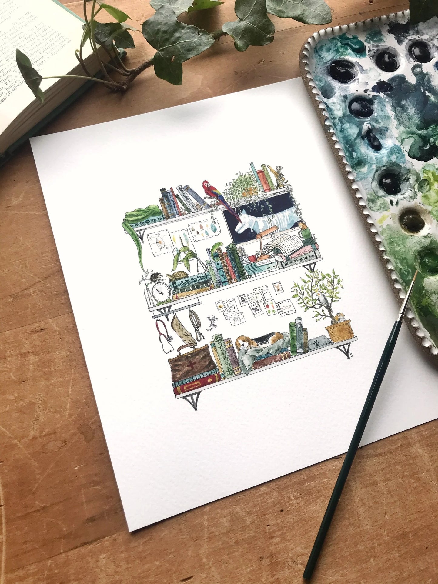 The Veterinarian's Shelves Giclée Print