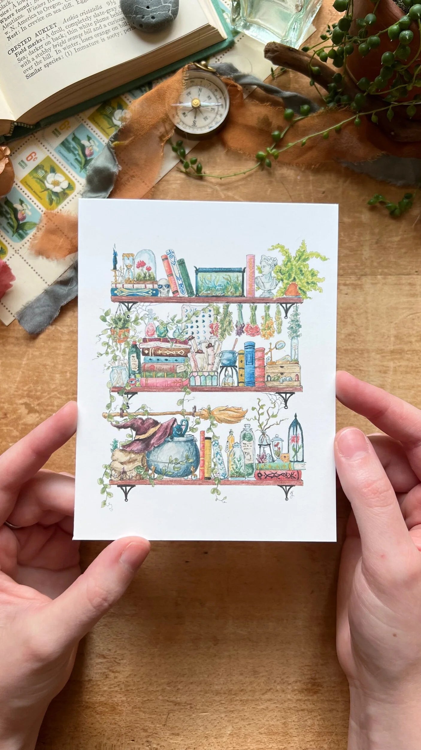 Vol. 3 Natural History Postcard Set