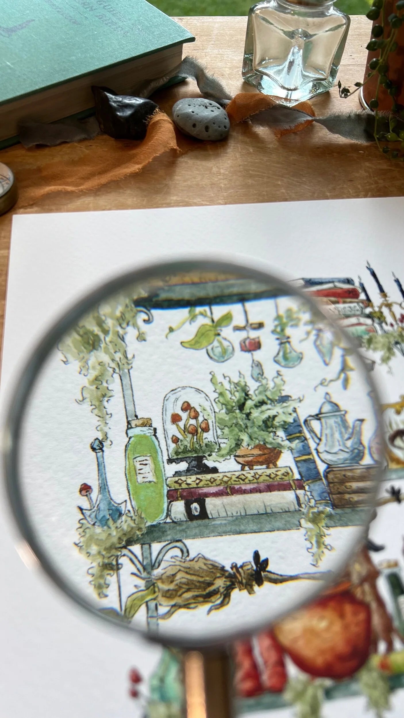 The Swamp Witch's Shelves Giclée Print