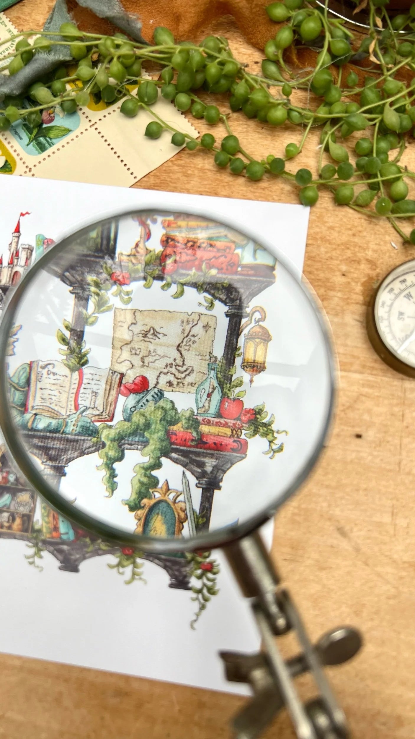 The Storybook Witch's Shelves Postcard