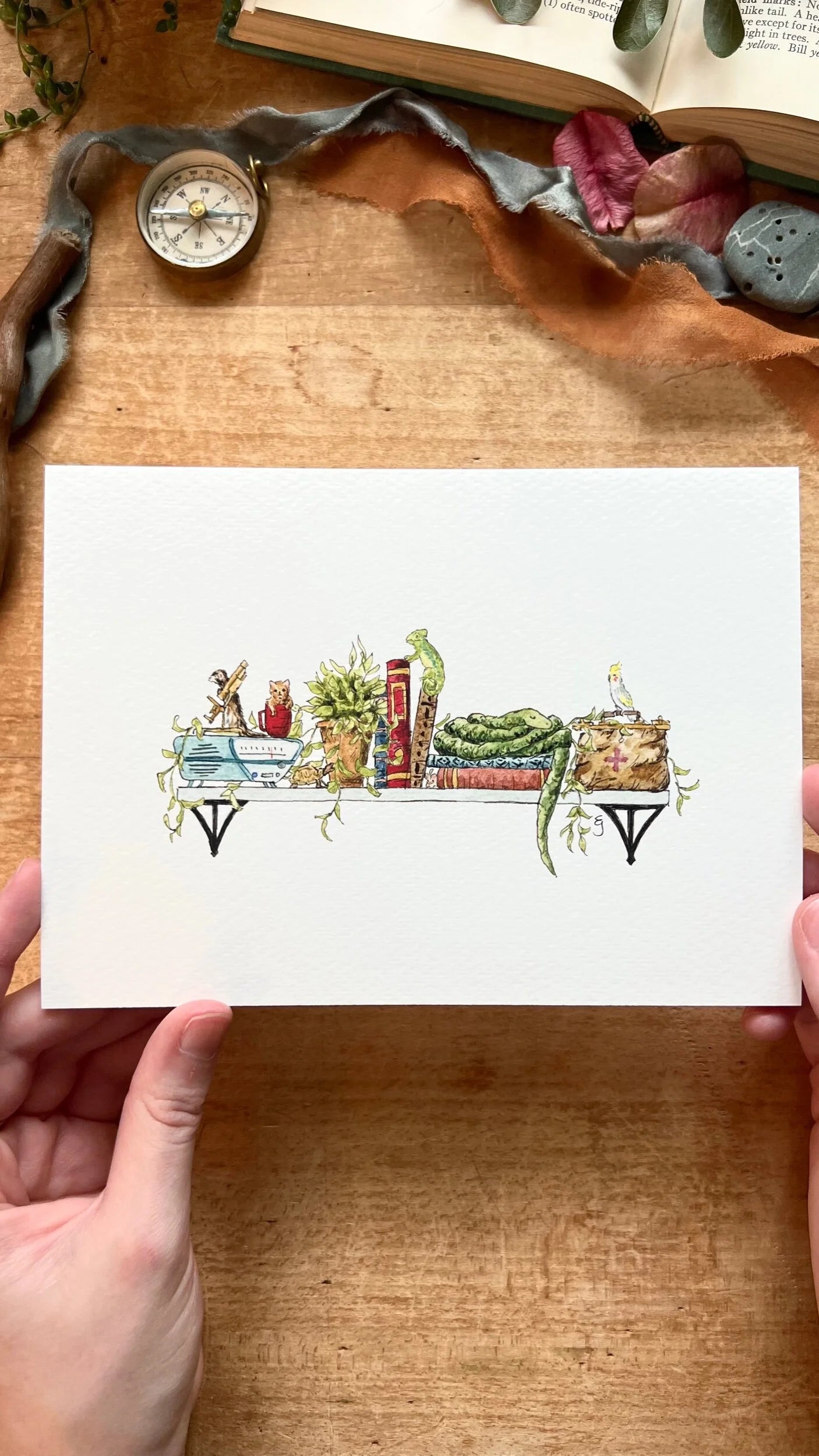 The Mini Veterinarian's Shelf Giclée Print