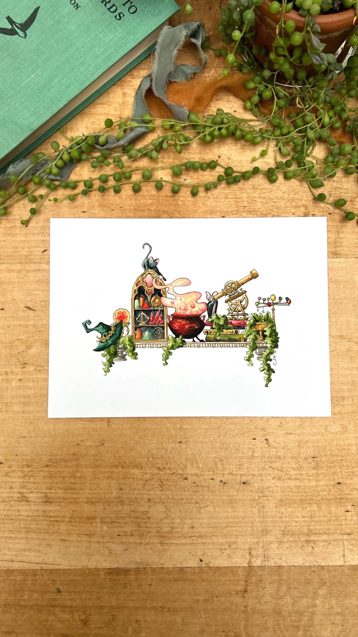 Mini Witches Shelves Giclée Print Bundle, Vol. 2