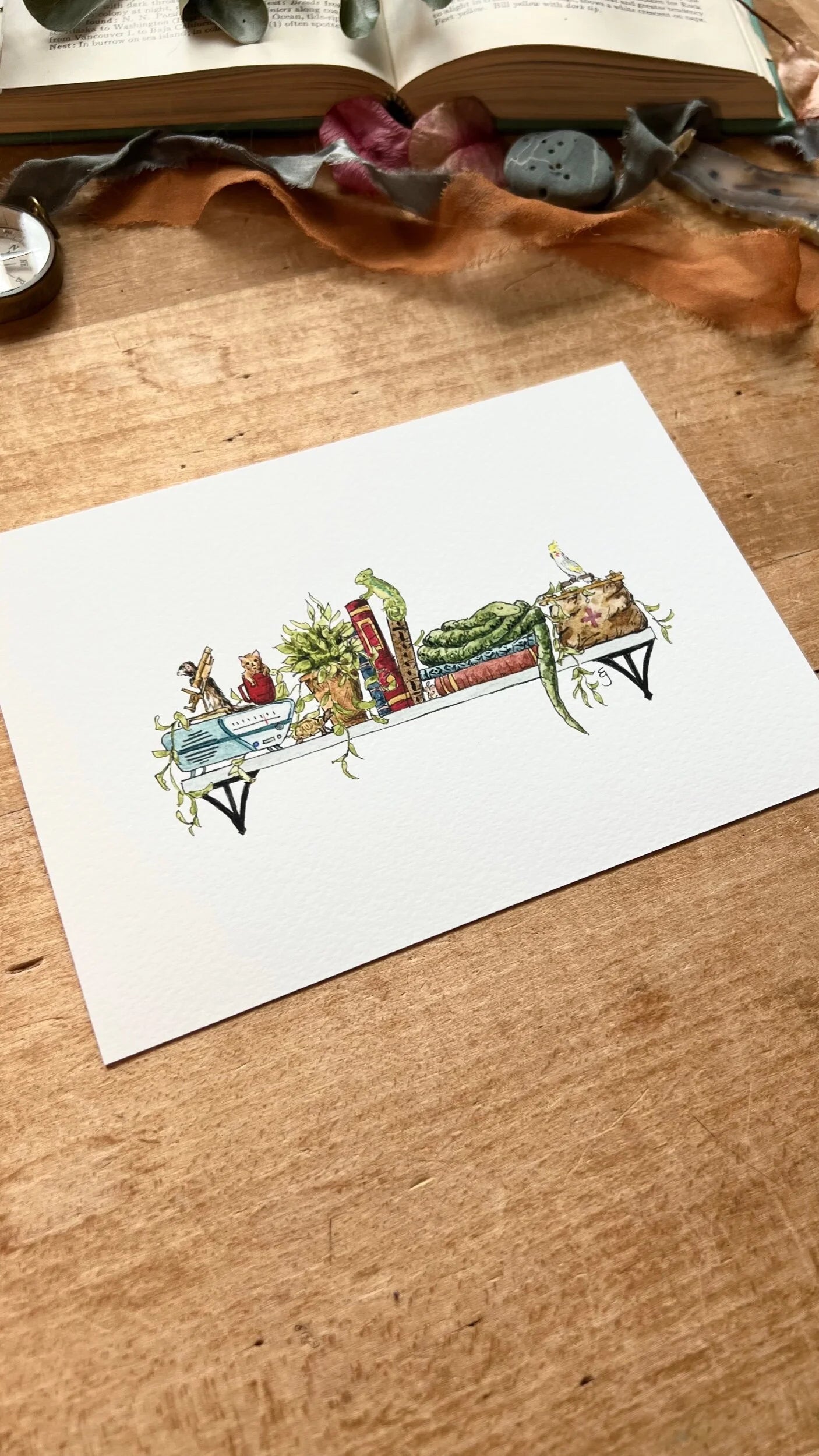 The Mini Veterinarian's Shelf Giclée Print
